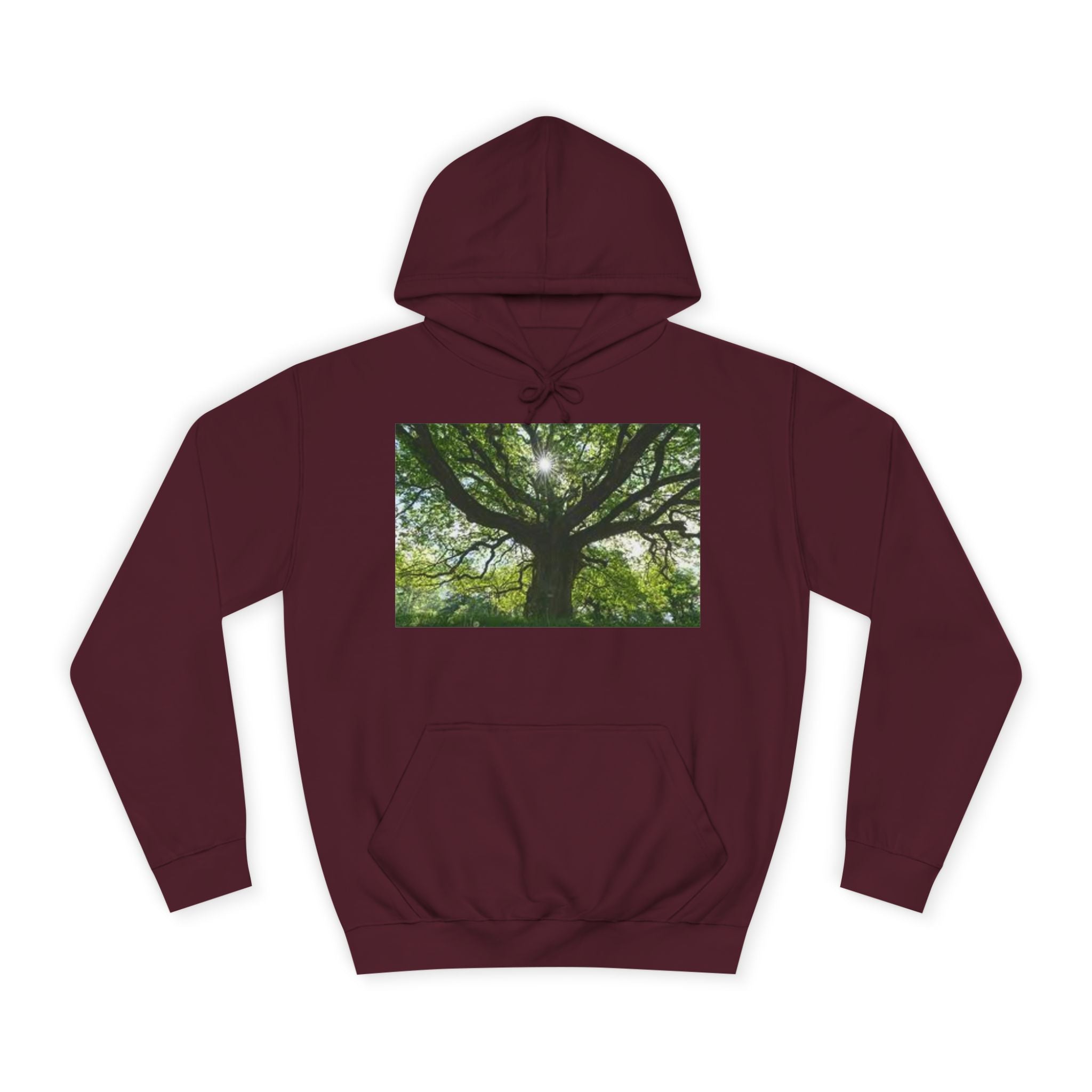 Sunlit Oak Tree Hoodie | Forest Nature Photography, Green Tree Sweatshirt