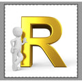 Gold Letter R Monogram Woven-Style Coverlet | Initial R Decorative Coverlet