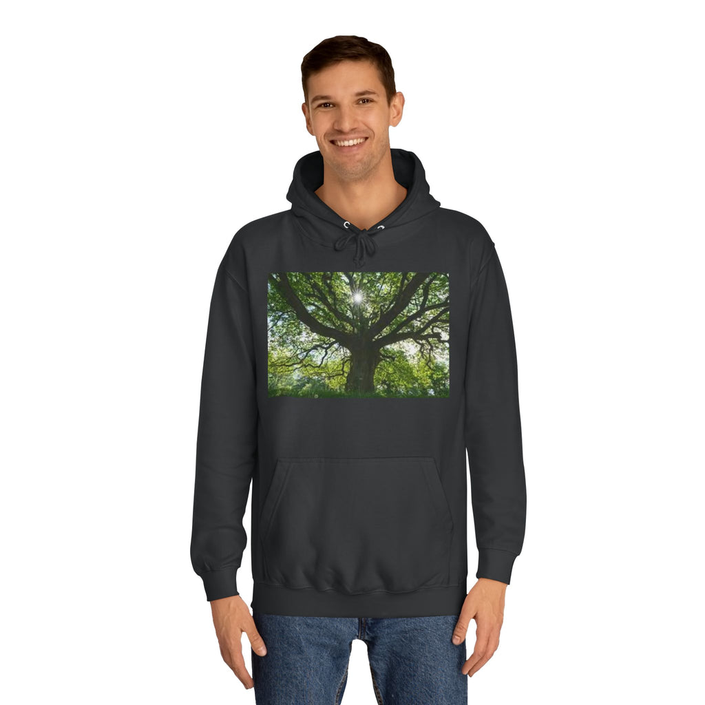 Sunlit Oak Tree Hoodie | Forest Nature Photography, Green Tree Sweatshirt
