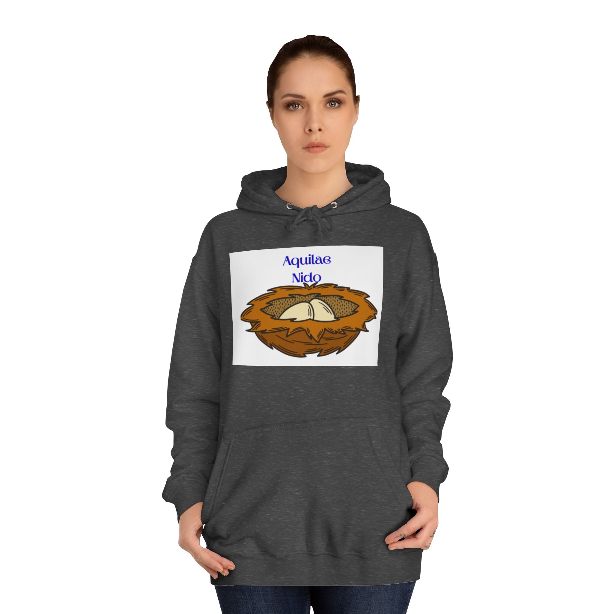 Aquilae Nido Nest Illustration Hoodie | College Crest Style