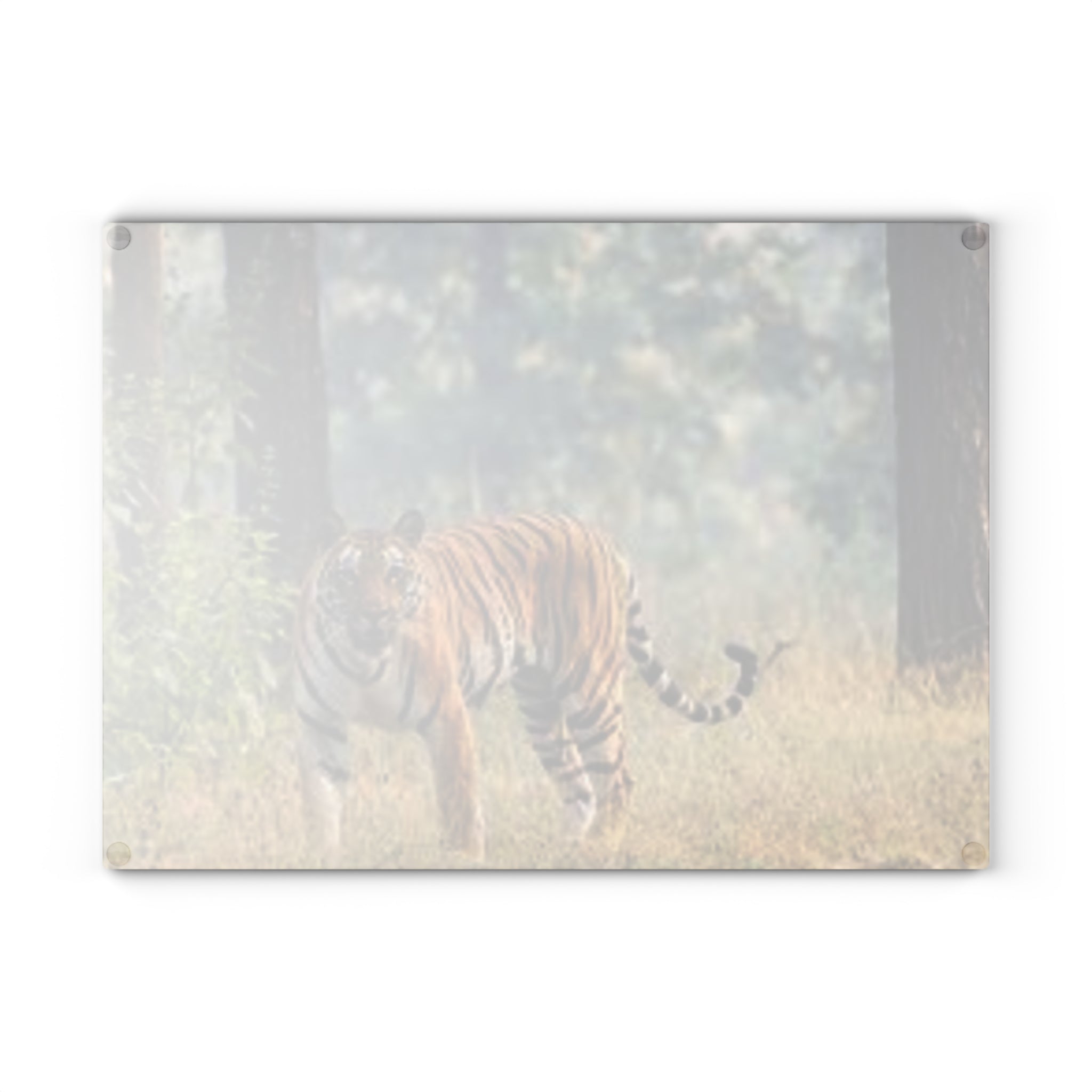 Bengal Tiger Photography Glass Cutting Board | Wildlife Kitchen Décor