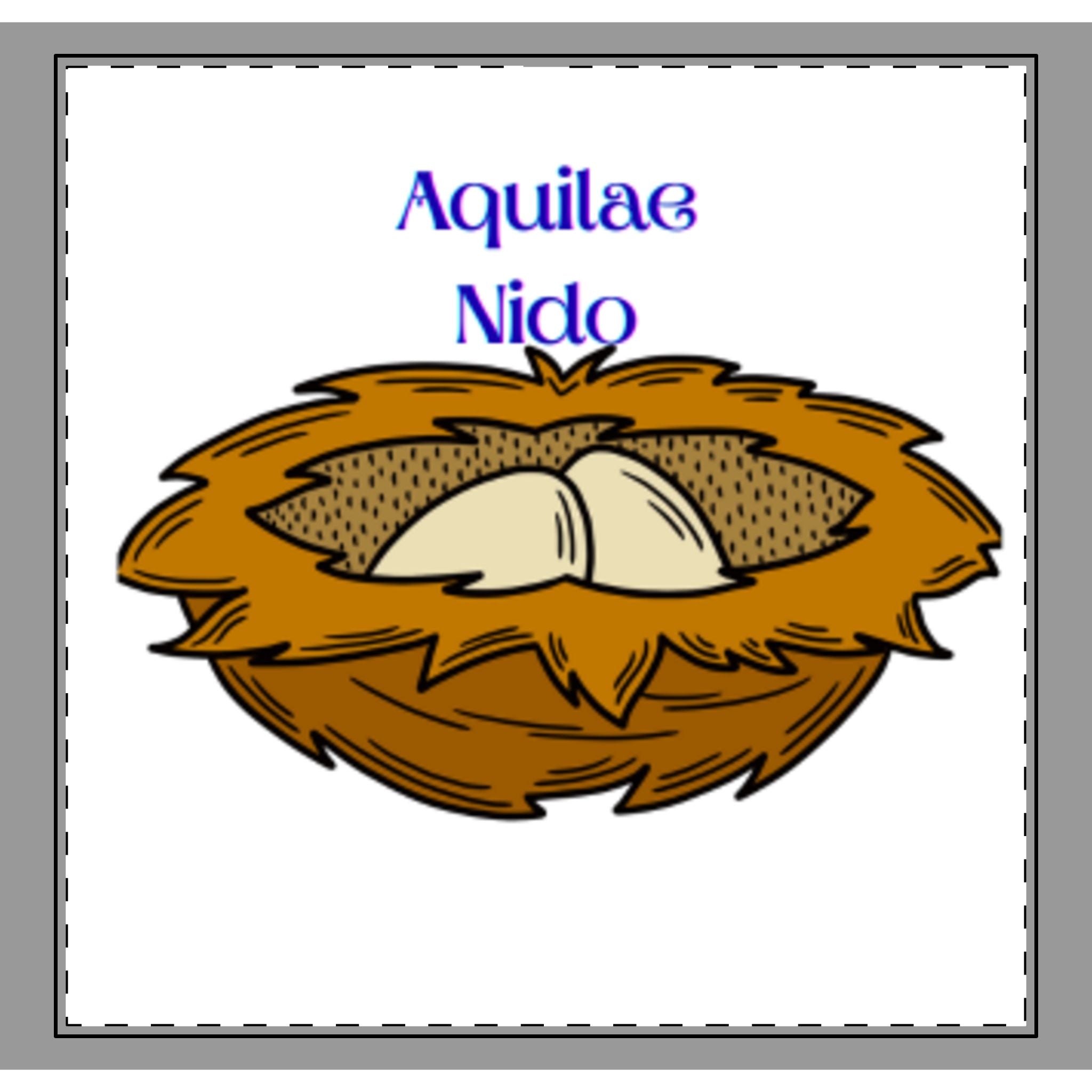 Bird Nest Illustration Woven-Style Coverlet | Nesting Eggs Design