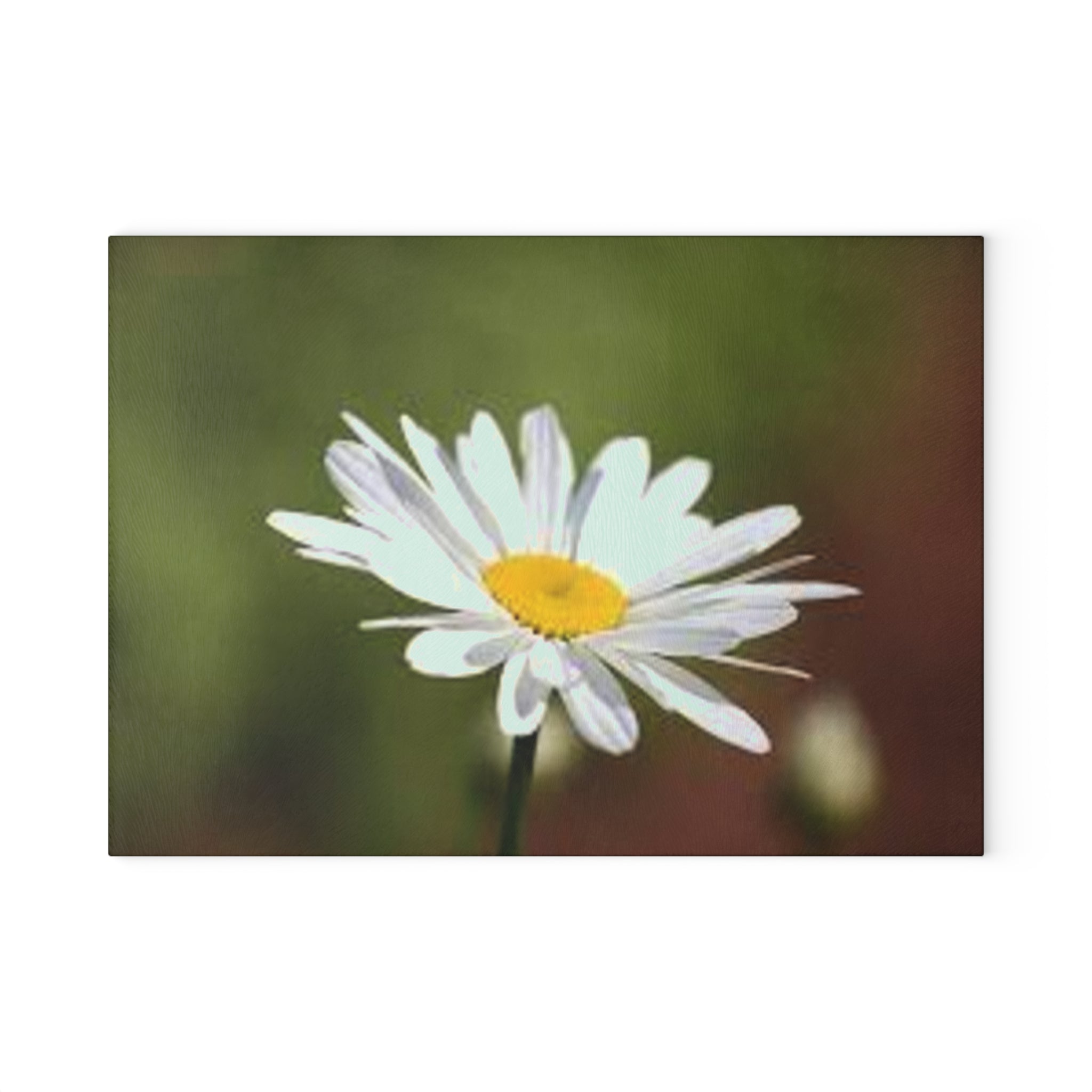 White Daisy Photograph Glass Cutting Board | Floral Kitchen Decor