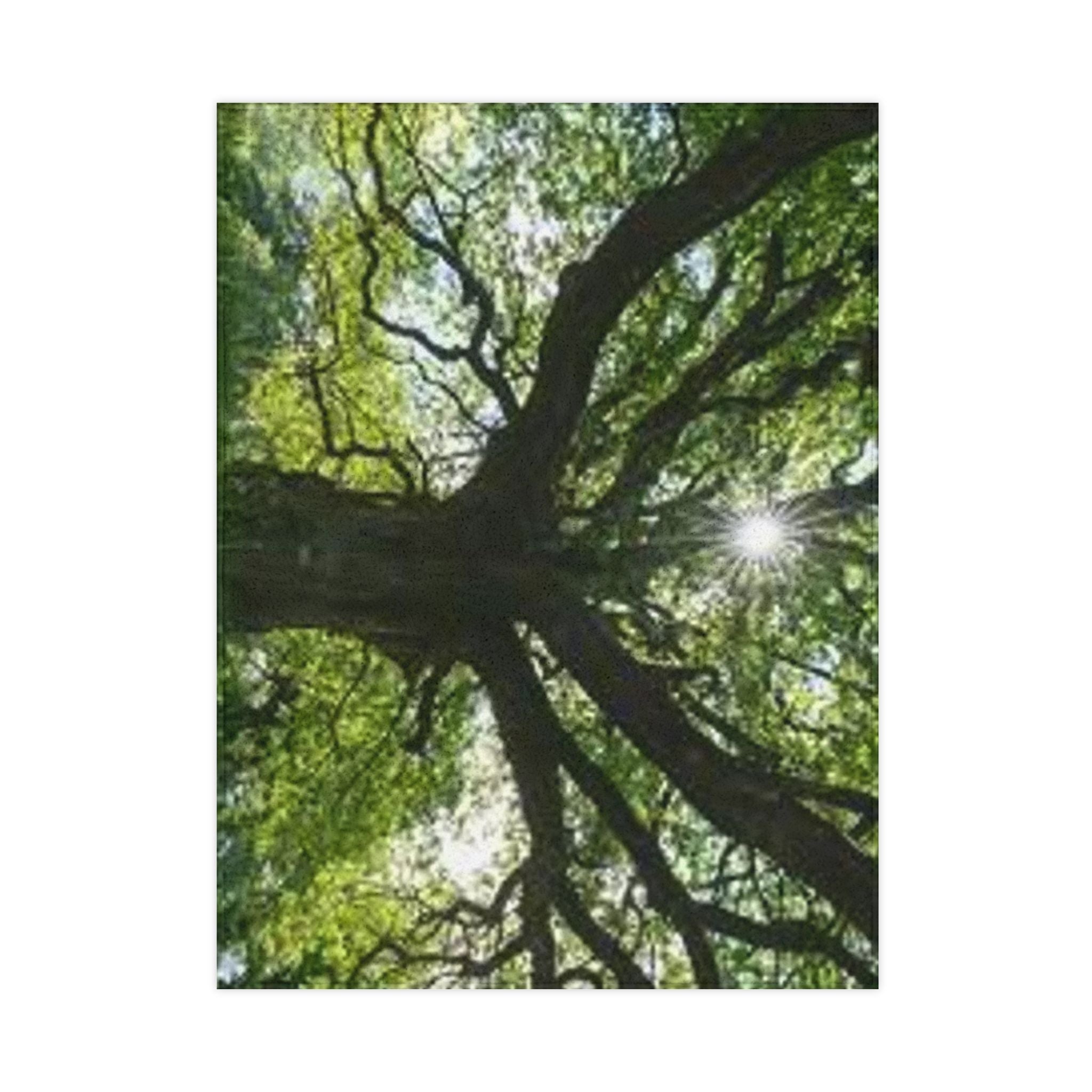 Sunlit Canopy Tree Toddler Blanket | Forest Nature Nursery Decor