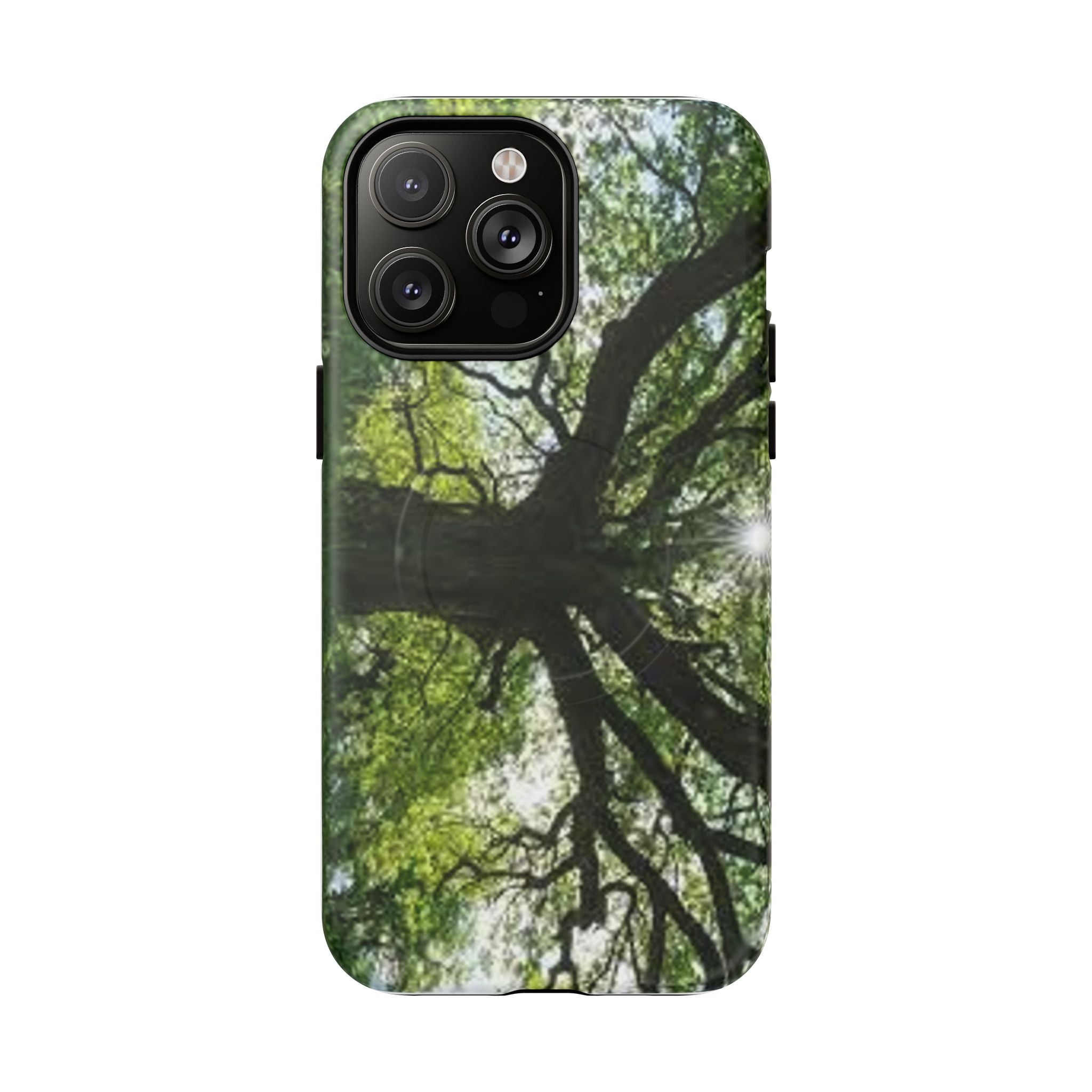 Sunlit Oak Tree Phone Case | Tough Magnetic Case