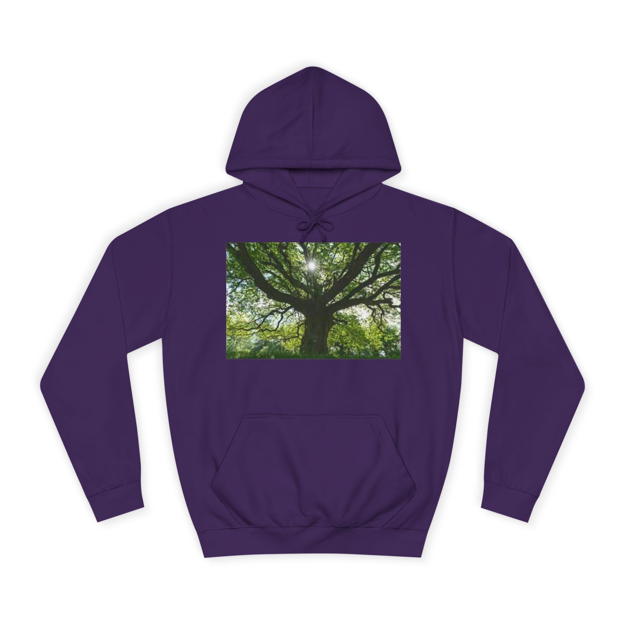 Sunlit Oak Tree Hoodie | Forest Nature Photography, Green Tree Sweatshirt