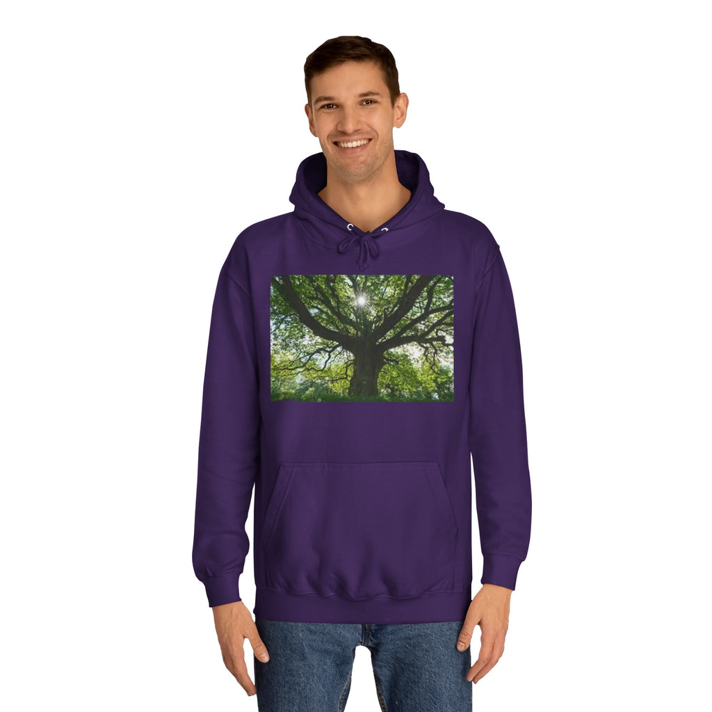 Sunlit Oak Tree Hoodie | Forest Nature Photography, Green Tree Sweatshirt