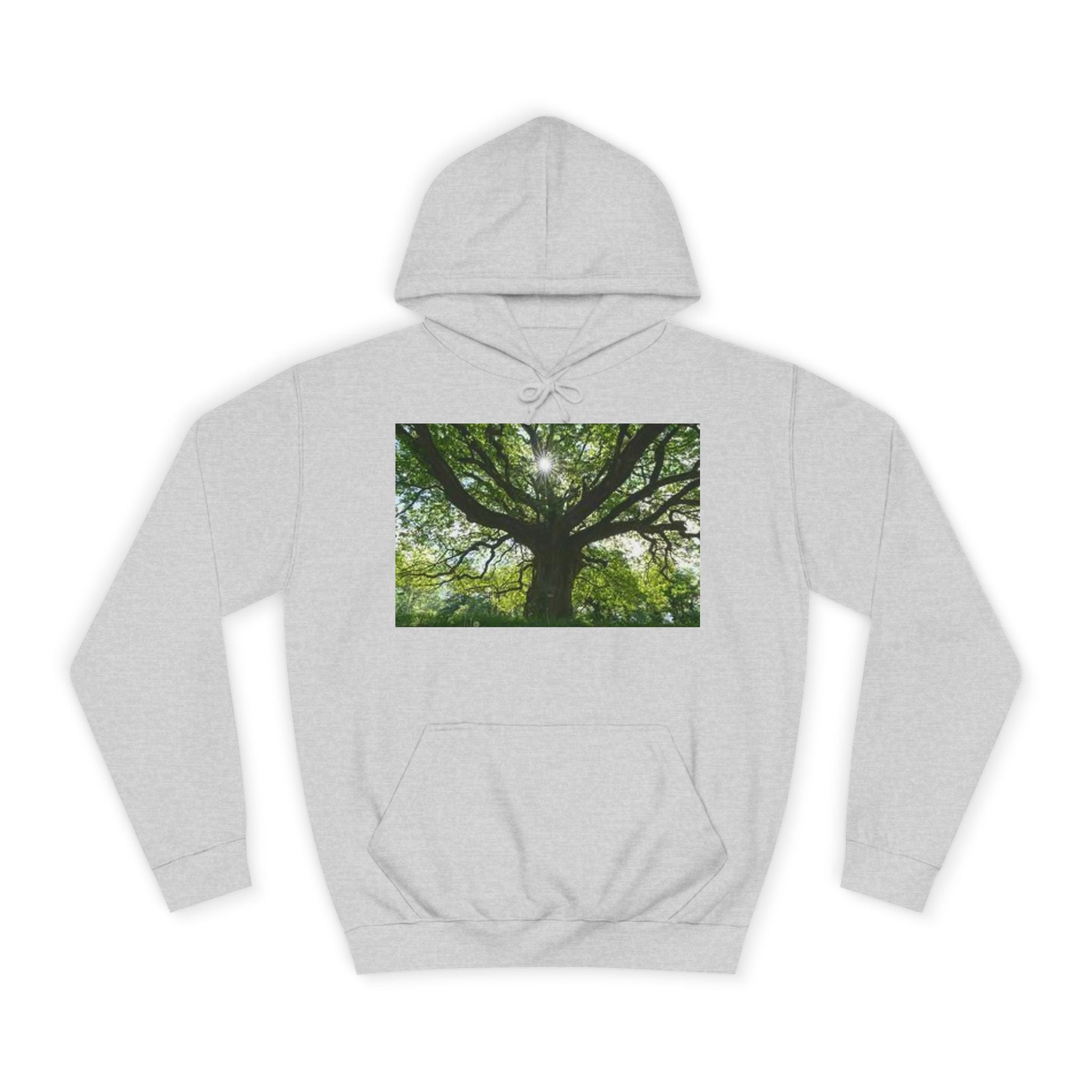 Sunlit Oak Tree Hoodie | Forest Nature Photography, Green Tree Sweatshirt