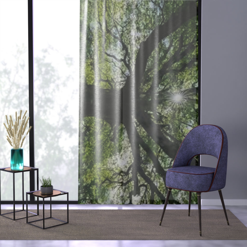 Sunlit Tree Canopy Window Curtain | Forest Branches Nature Print