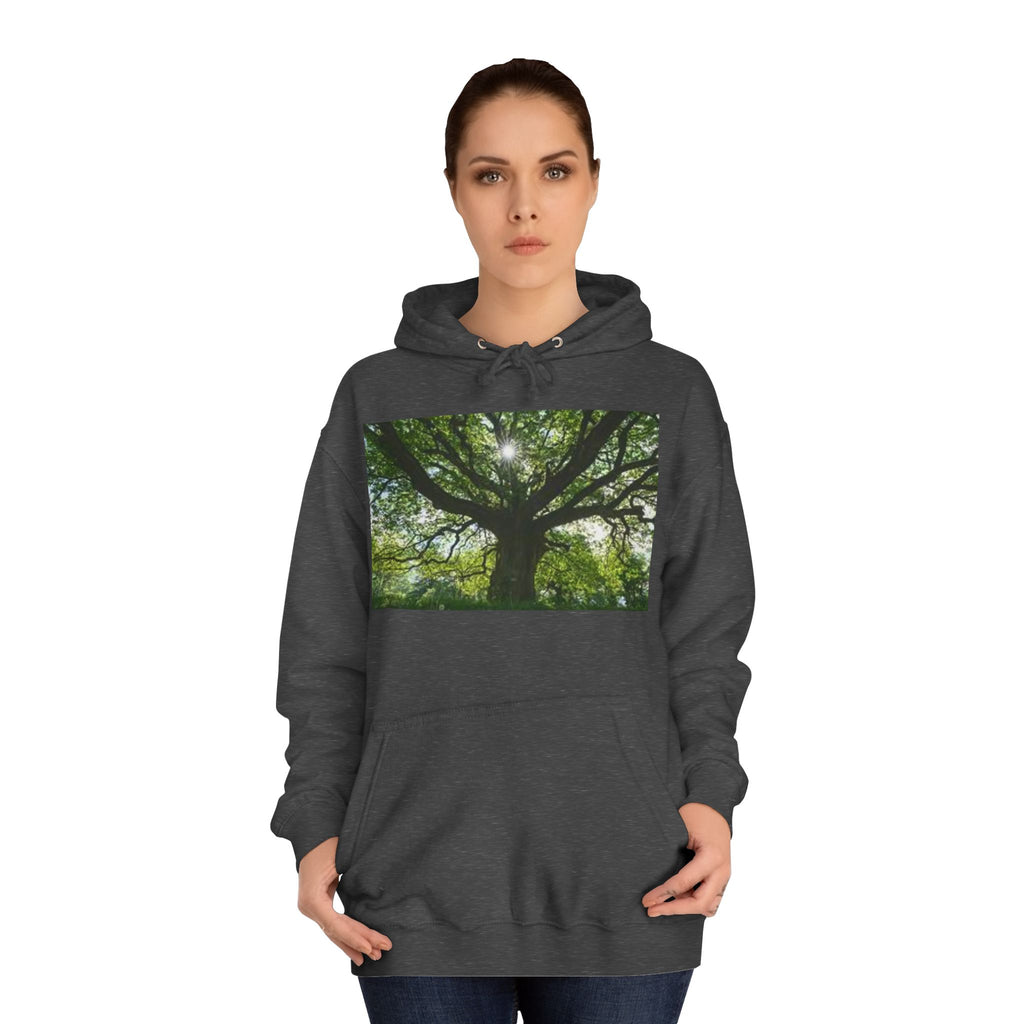Sunlit Oak Tree Hoodie | Forest Nature Photography, Green Tree Sweatshirt
