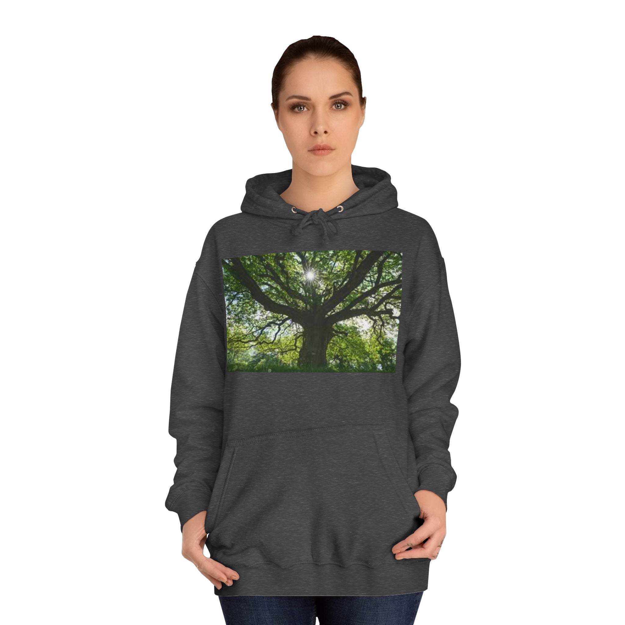 Sunlit Oak Tree Hoodie | Forest Nature Photography, Green Tree Sweatshirt