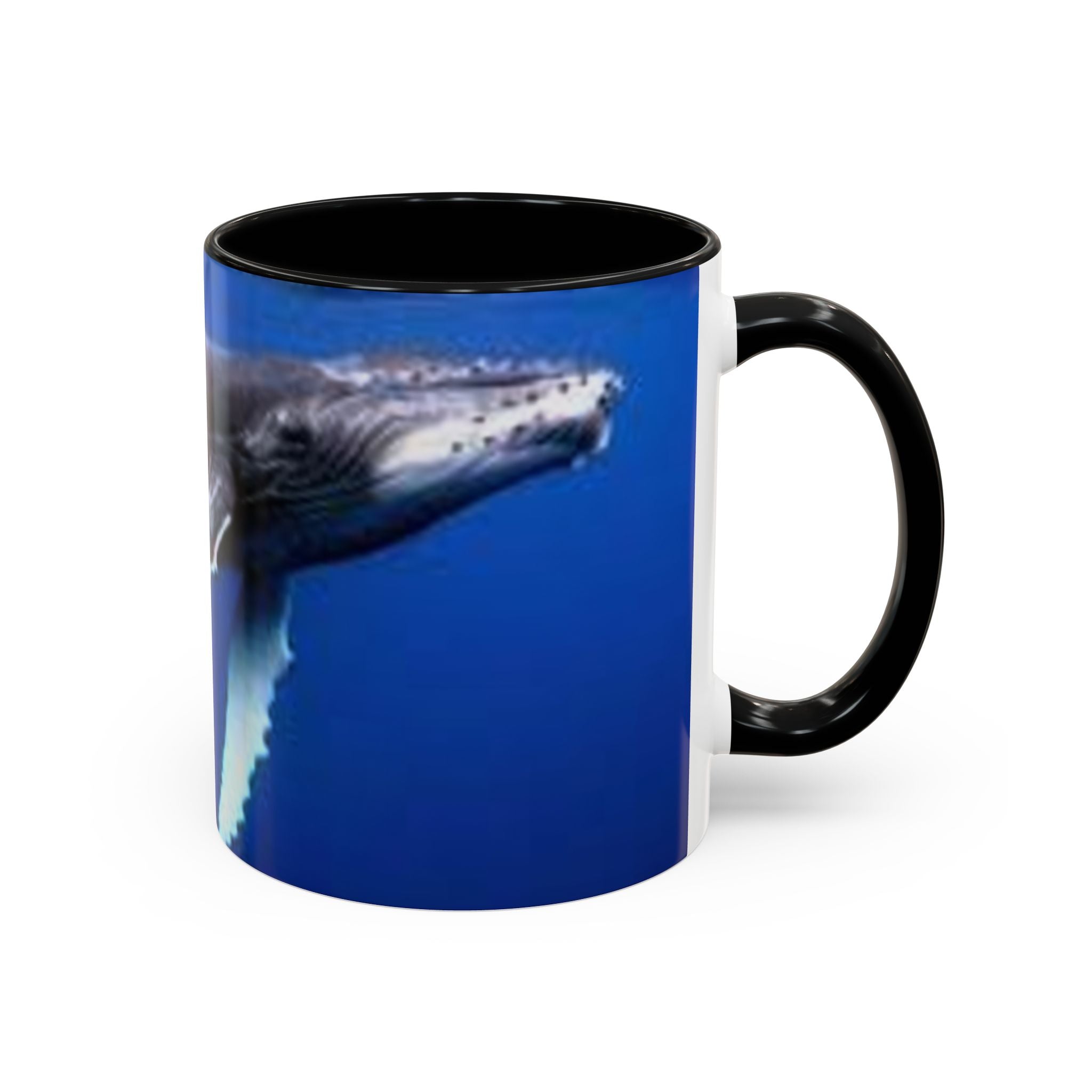 Humpback Whale Ocean Photo Accent Coffee Mug | Whale Lover Mug