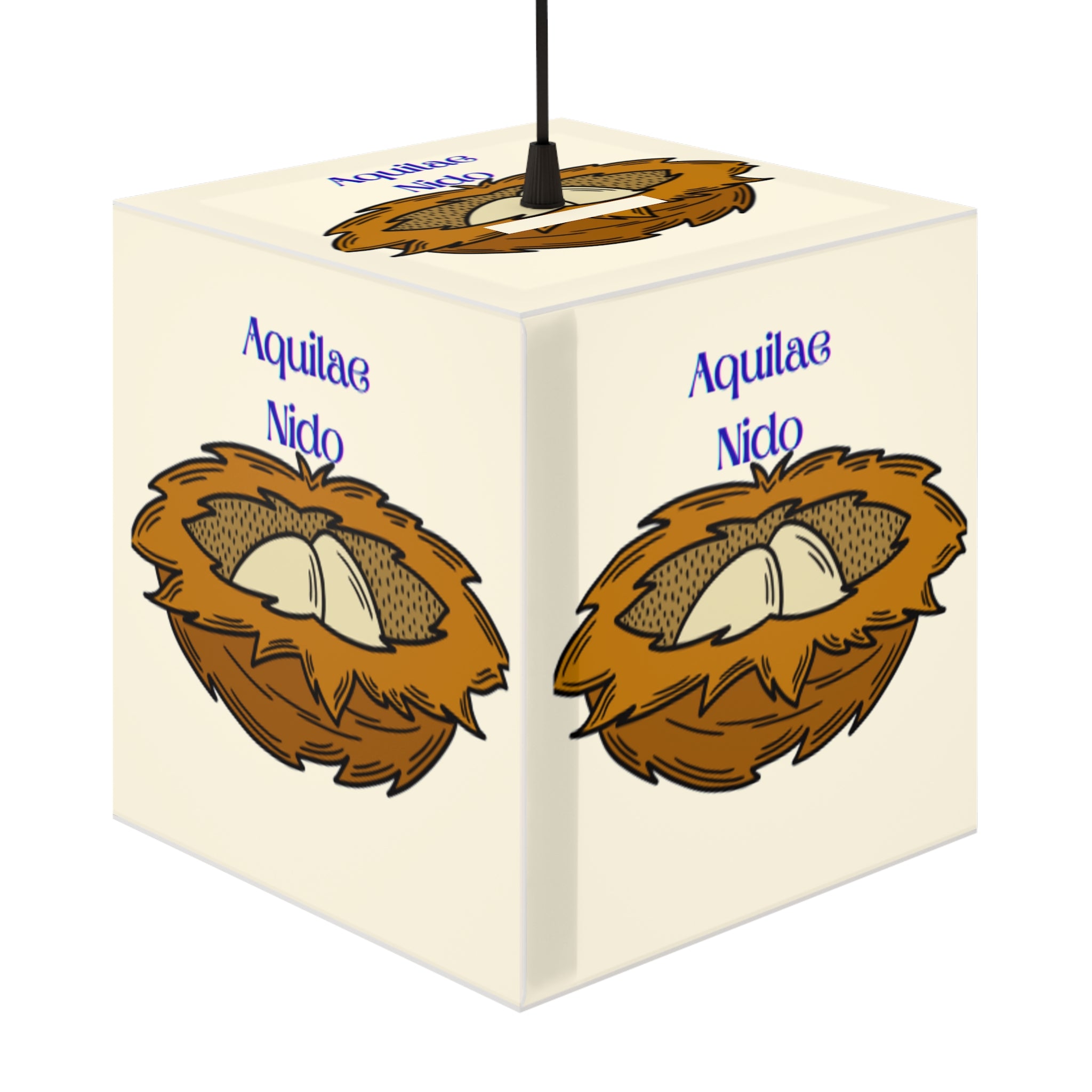 Nest with Eagle Eggs Light Cube Lamp | Nesting Bird Illustration, Latin Text
