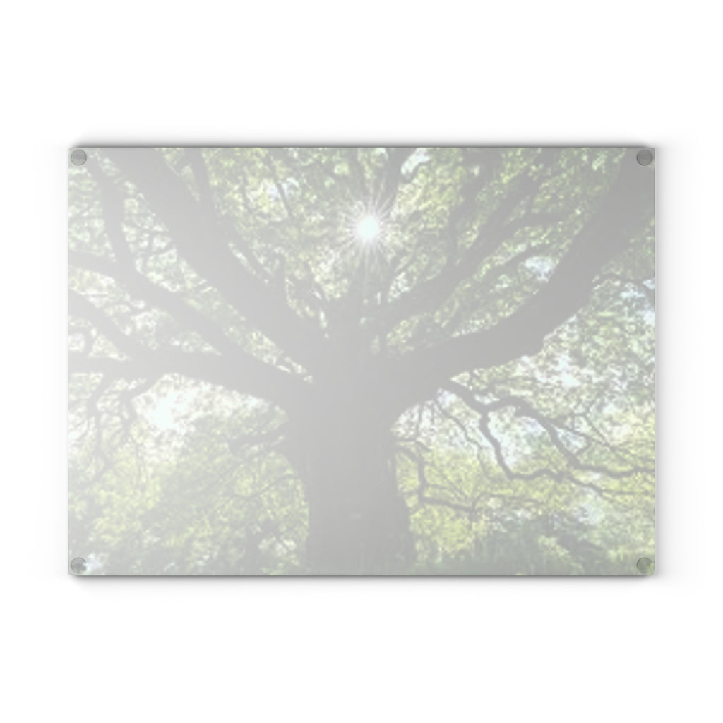 Sunlit Oak Tree Glass Cutting Board | Forest Nature Kitchen Decor