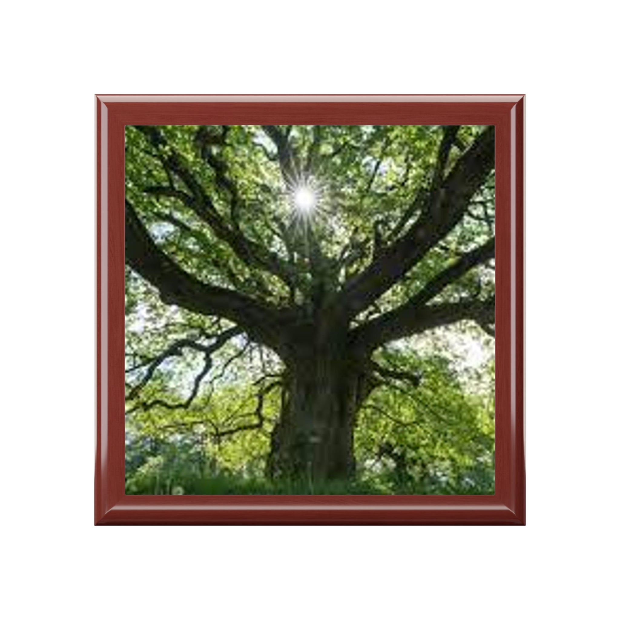 Sunlit Oak Tree Jewelry Box | Nature Woodland Keepsake
