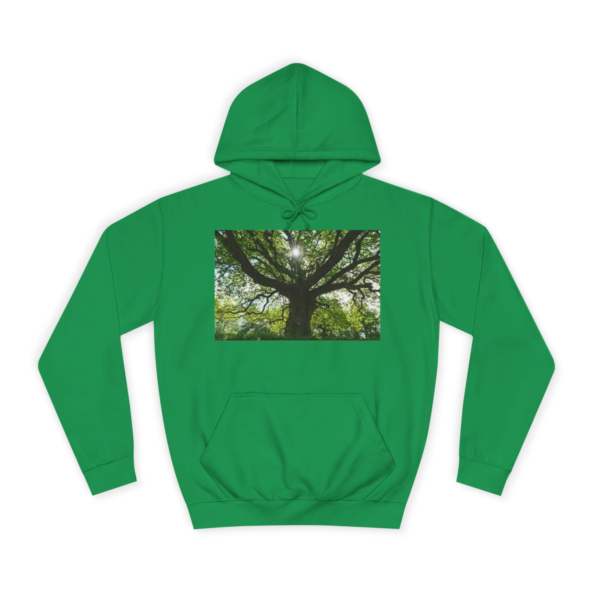 Sunlit Oak Tree Hoodie | Forest Nature Photography, Green Tree Sweatshirt