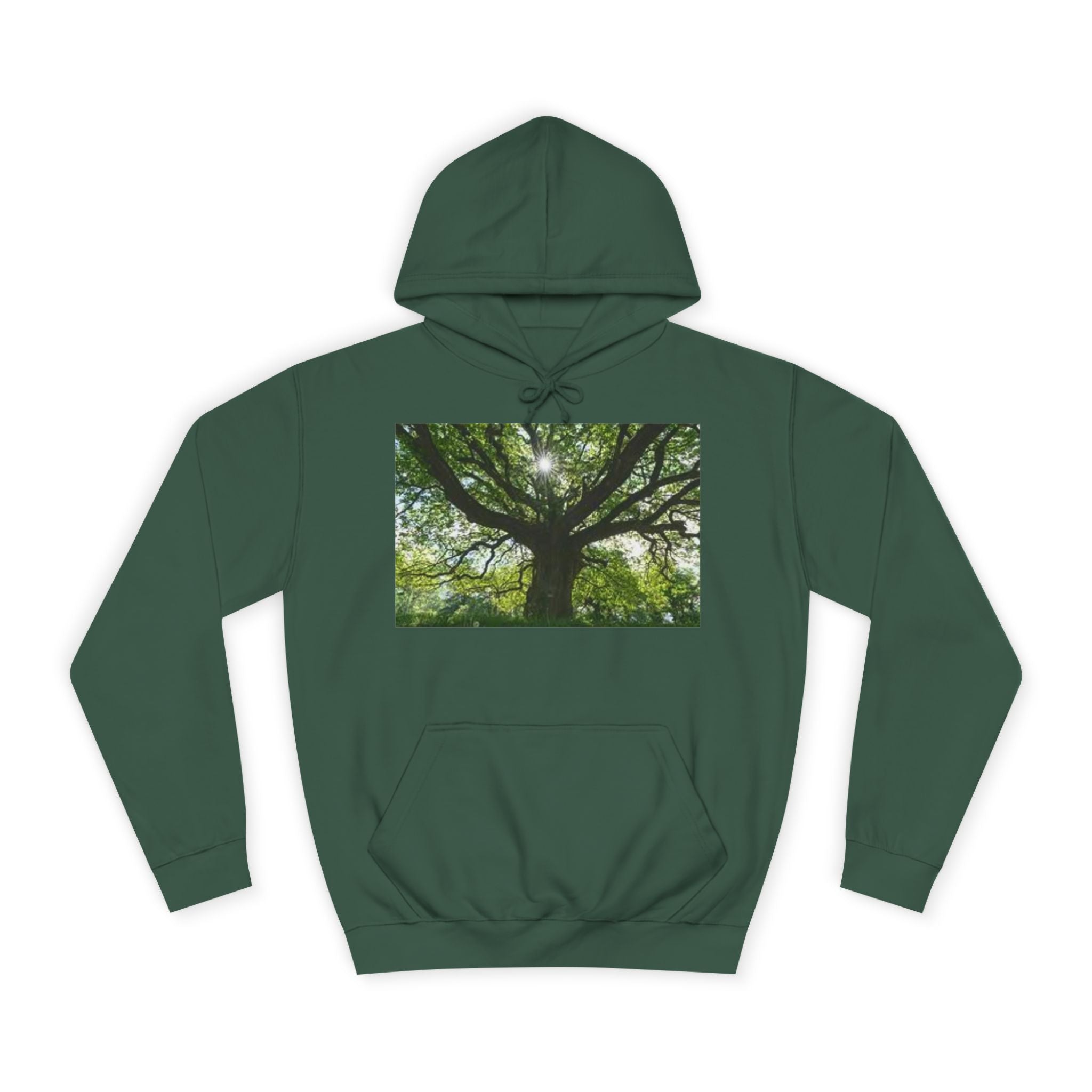 Sunlit Oak Tree Hoodie | Forest Nature Photography, Green Tree Sweatshirt