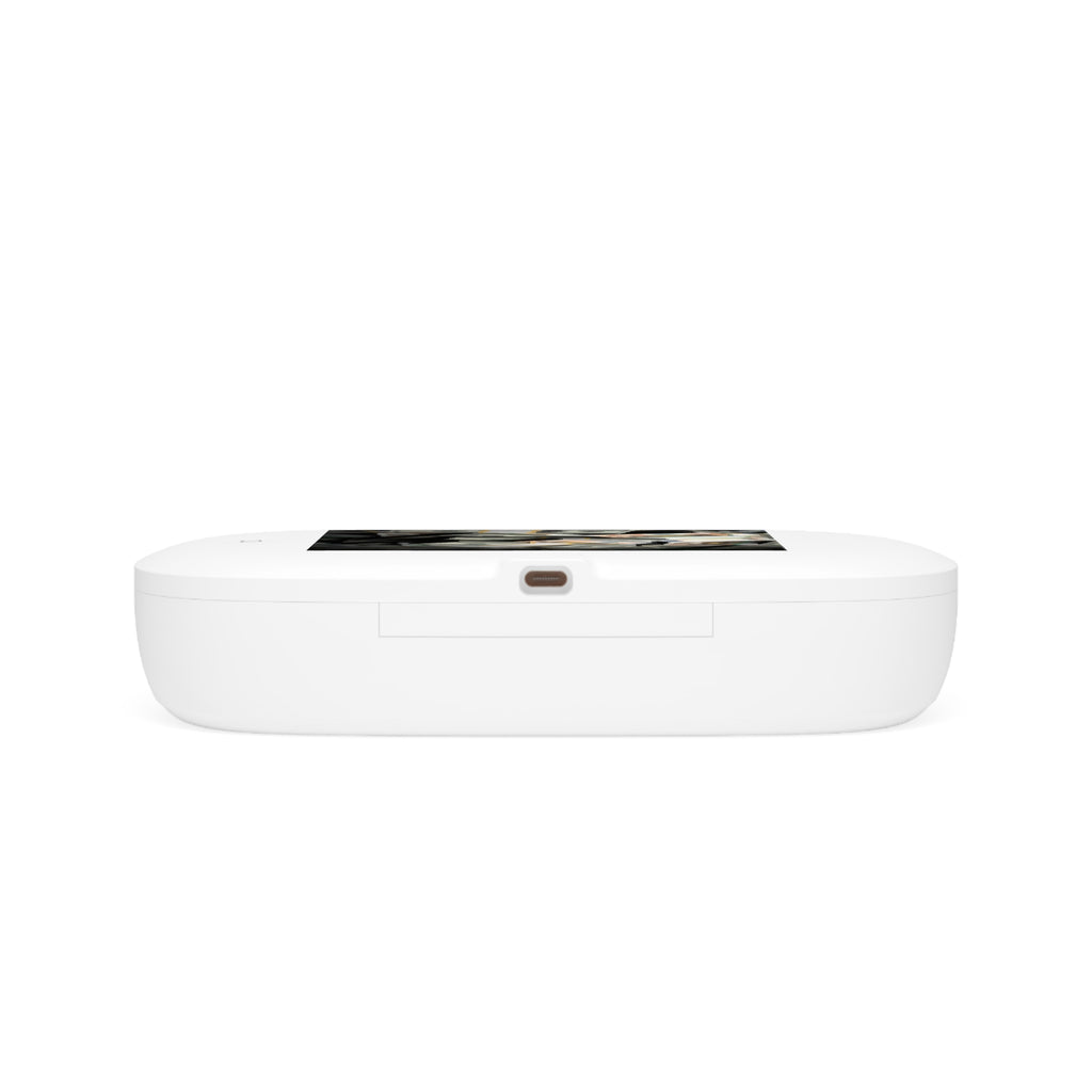 Stack of Cash Photo UV Phone Sanitizer and Wireless Charging Pad