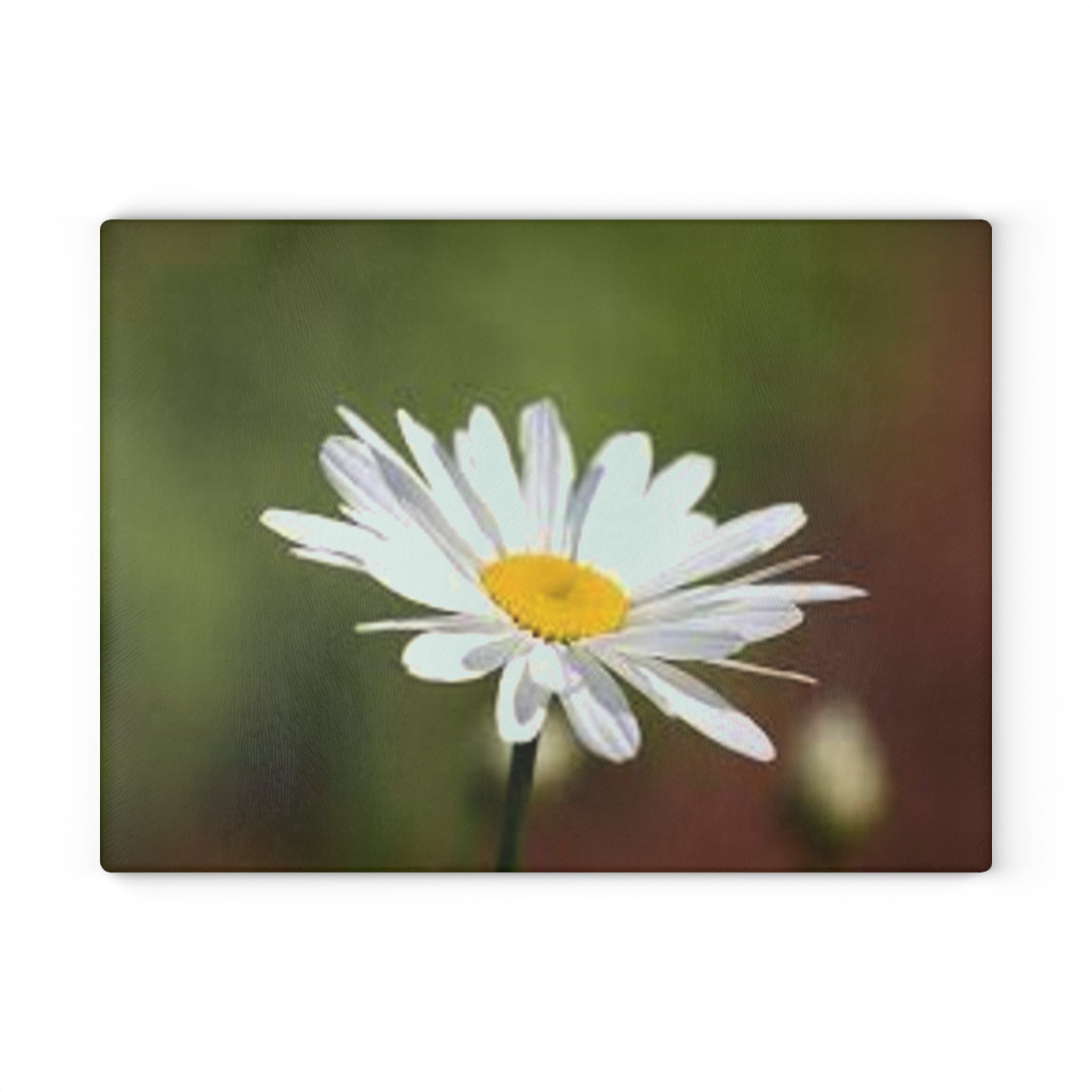 White Daisy Photograph Glass Cutting Board | Floral Kitchen Decor