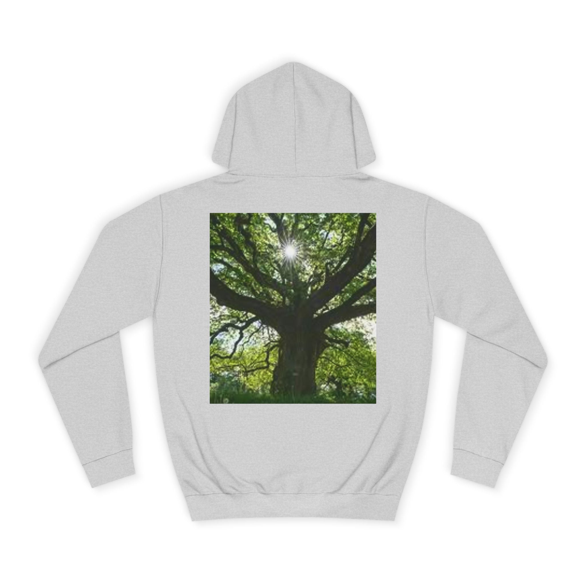 Sunlit Oak Tree Hoodie | Forest Nature Photography, Green Tree Sweatshirt