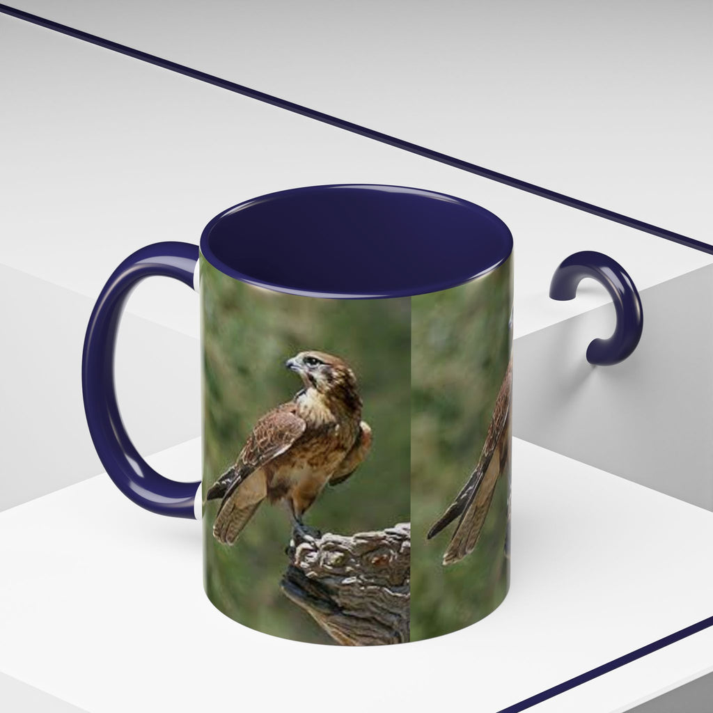 Kestrel Falcon Photo Mug | Accent Coffee Mug 11oz 15oz