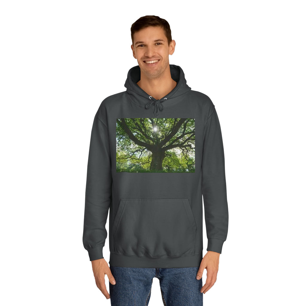 Sunlit Oak Tree Hoodie | Forest Nature Photography, Green Tree Sweatshirt
