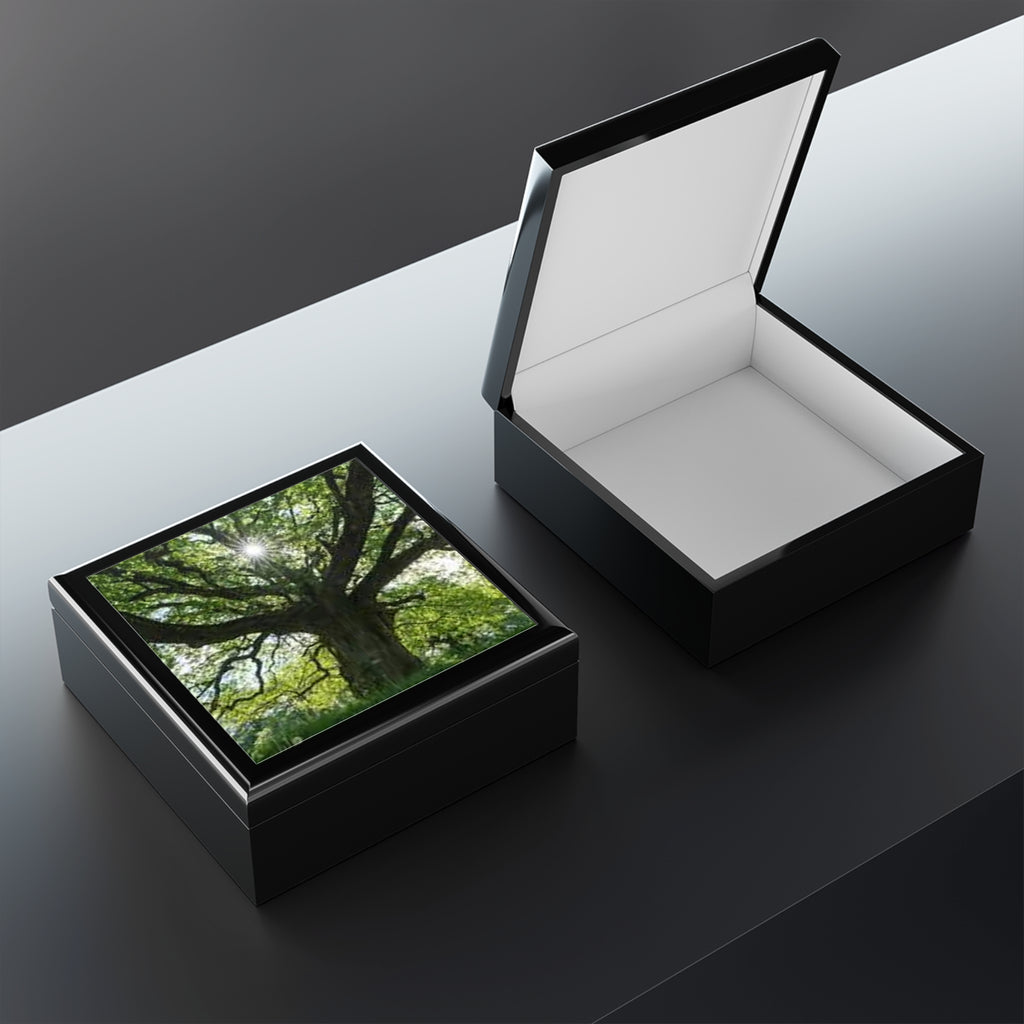 Sunlit Oak Tree Jewelry Box | Nature Woodland Keepsake