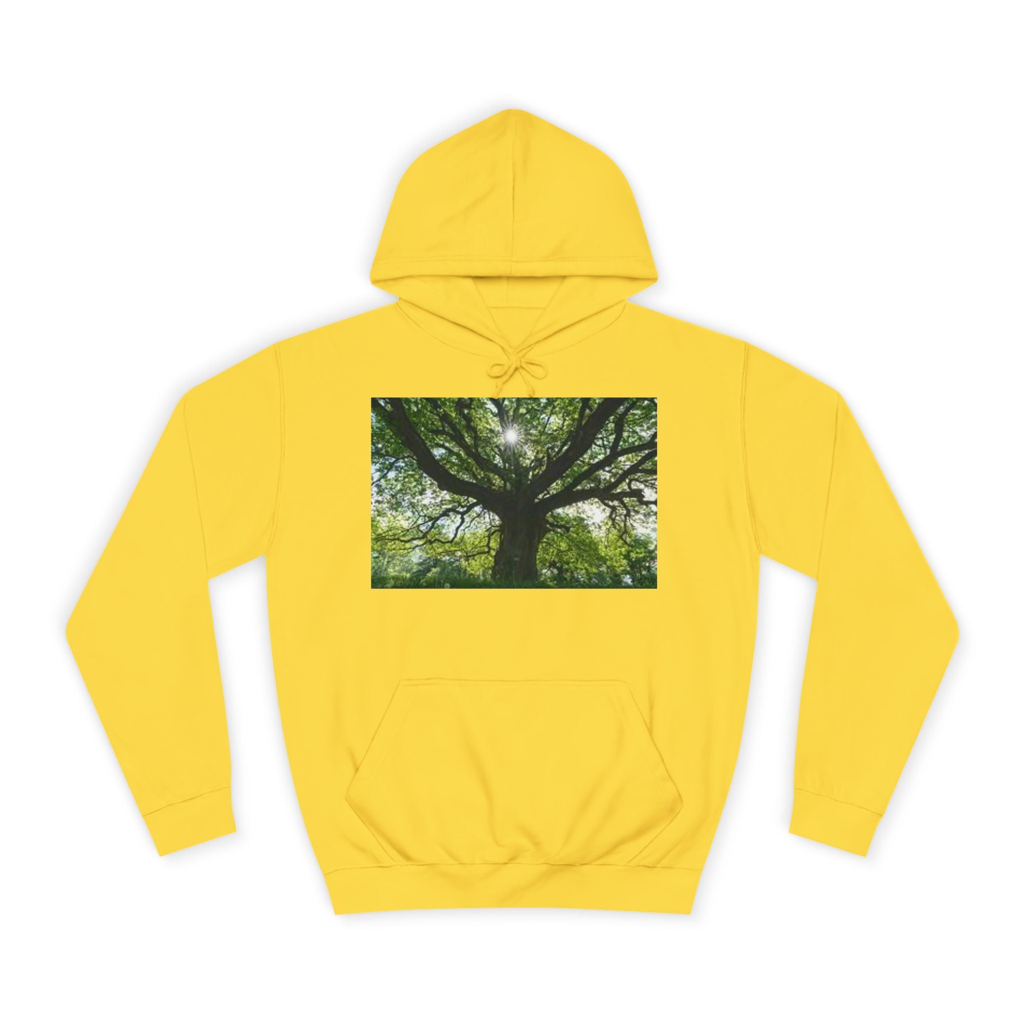Sunlit Oak Tree Hoodie | Forest Nature Photography, Green Tree Sweatshirt