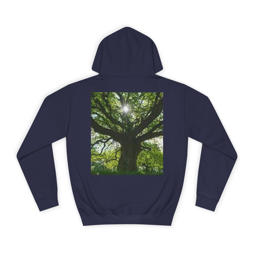 Sunlit Oak Tree Hoodie | Forest Nature Photography, Green Tree Sweatshirt