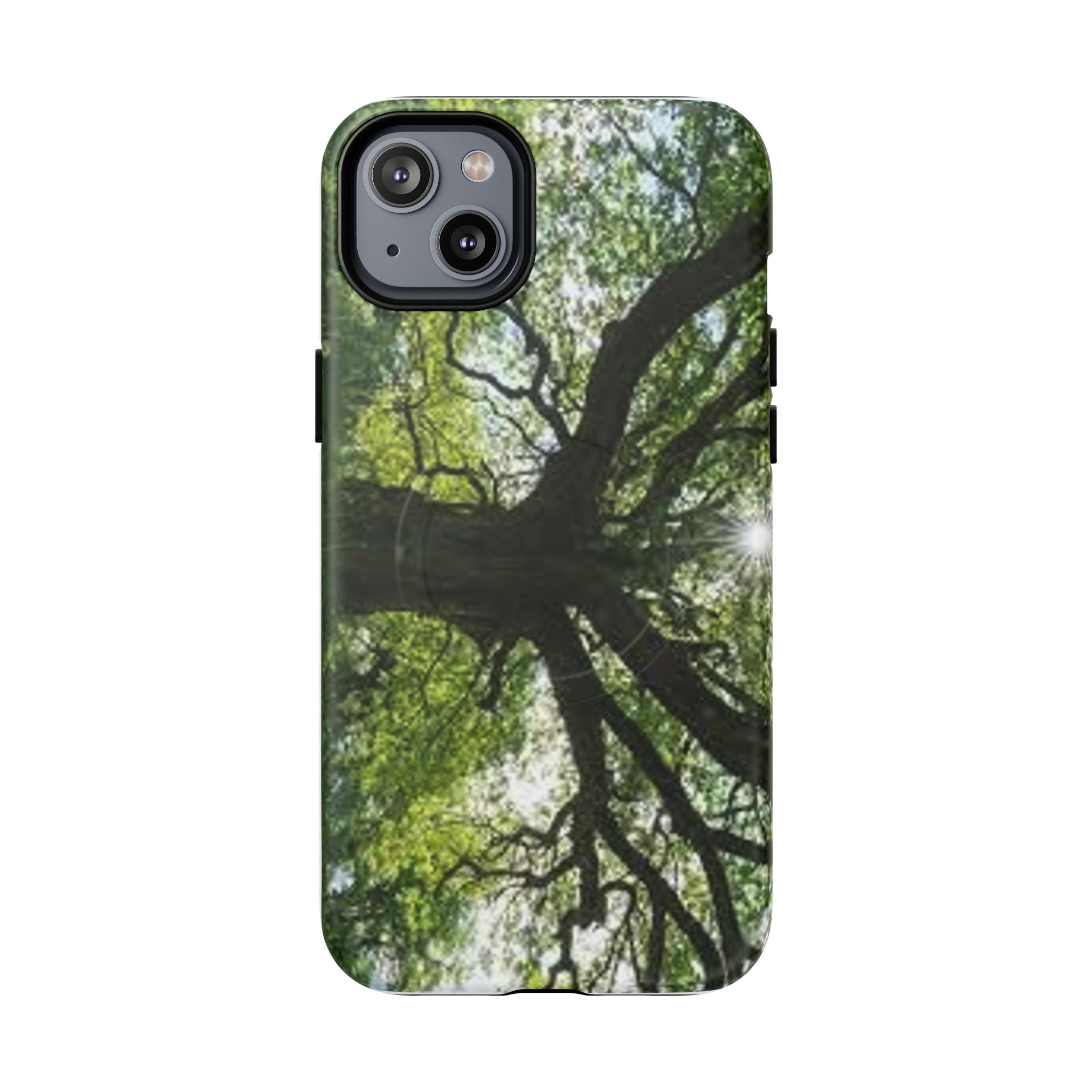 Sunlit Oak Tree Phone Case | Tough Magnetic Case