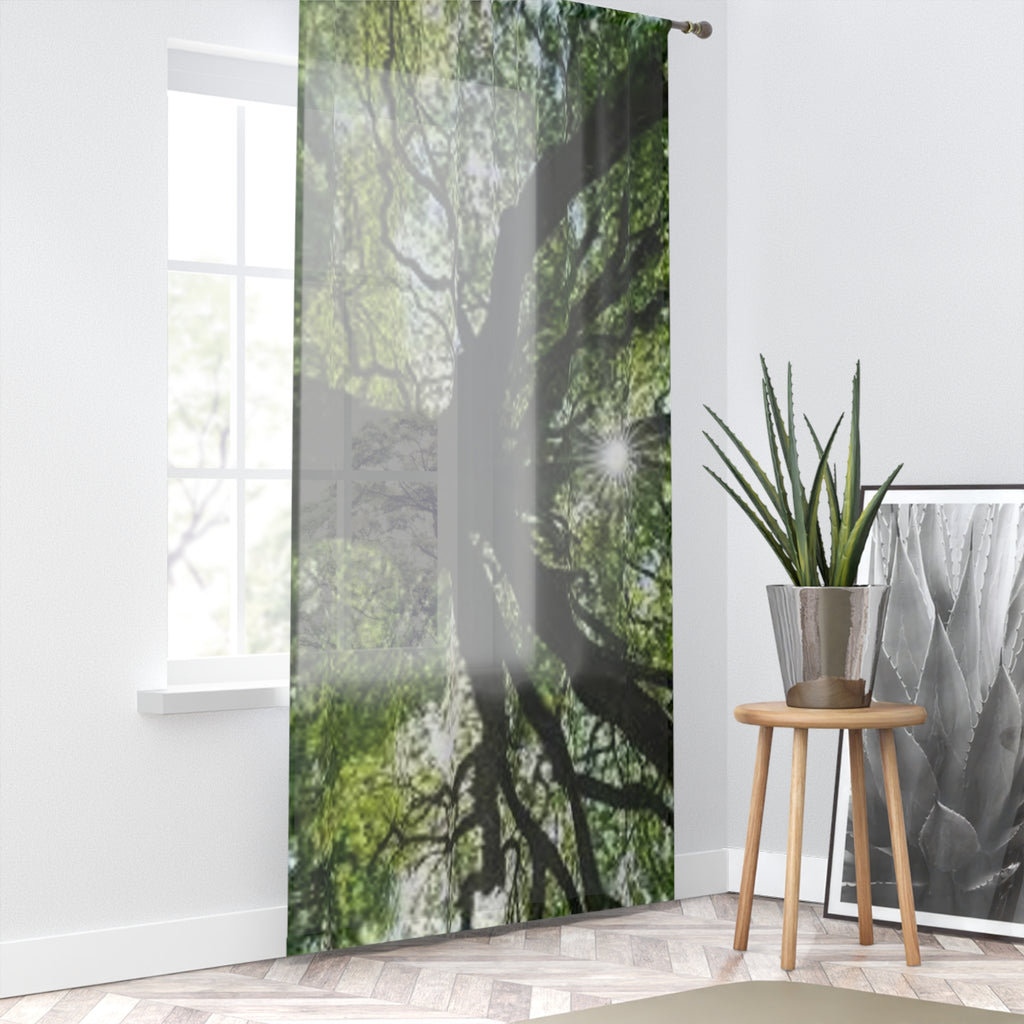 Sunlit Tree Canopy Window Curtain | Forest Branches Nature Print
