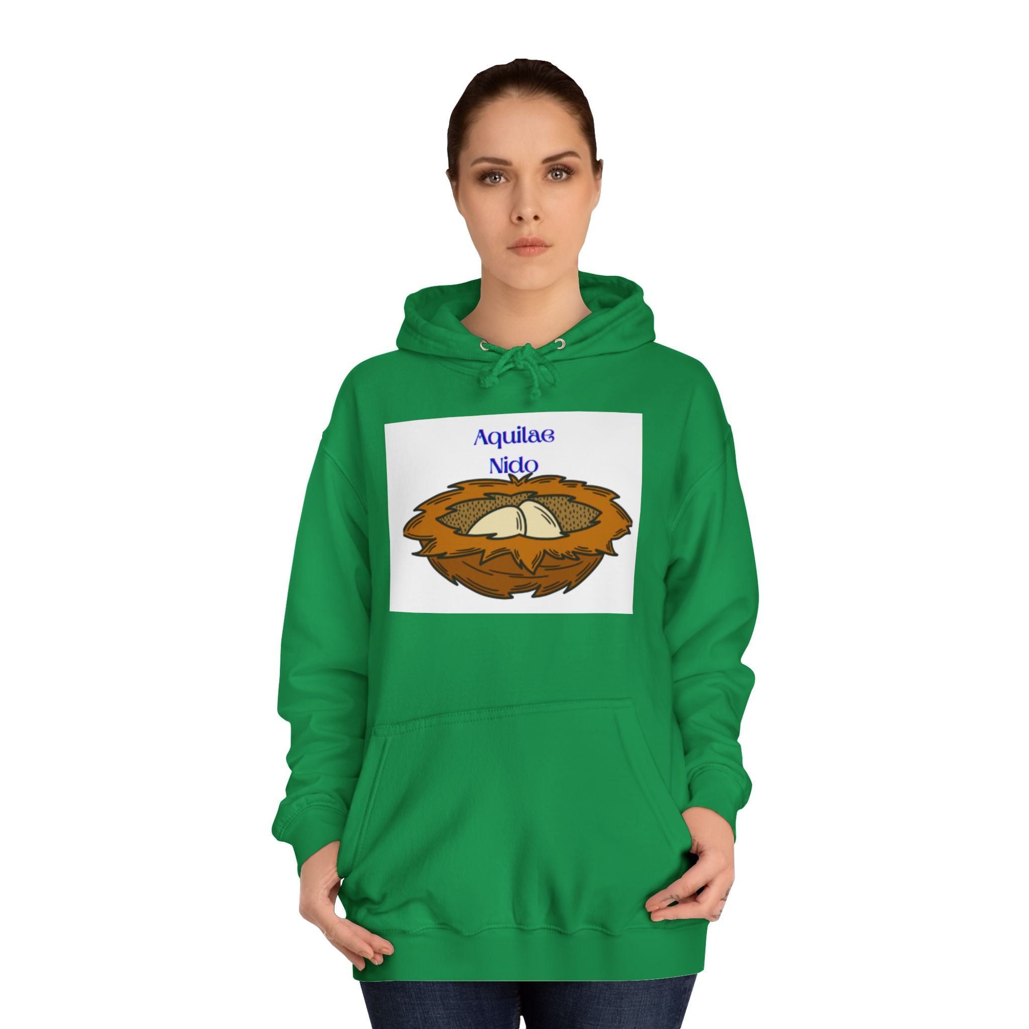 Aquilae Nido Nest Illustration Hoodie | College Crest Style