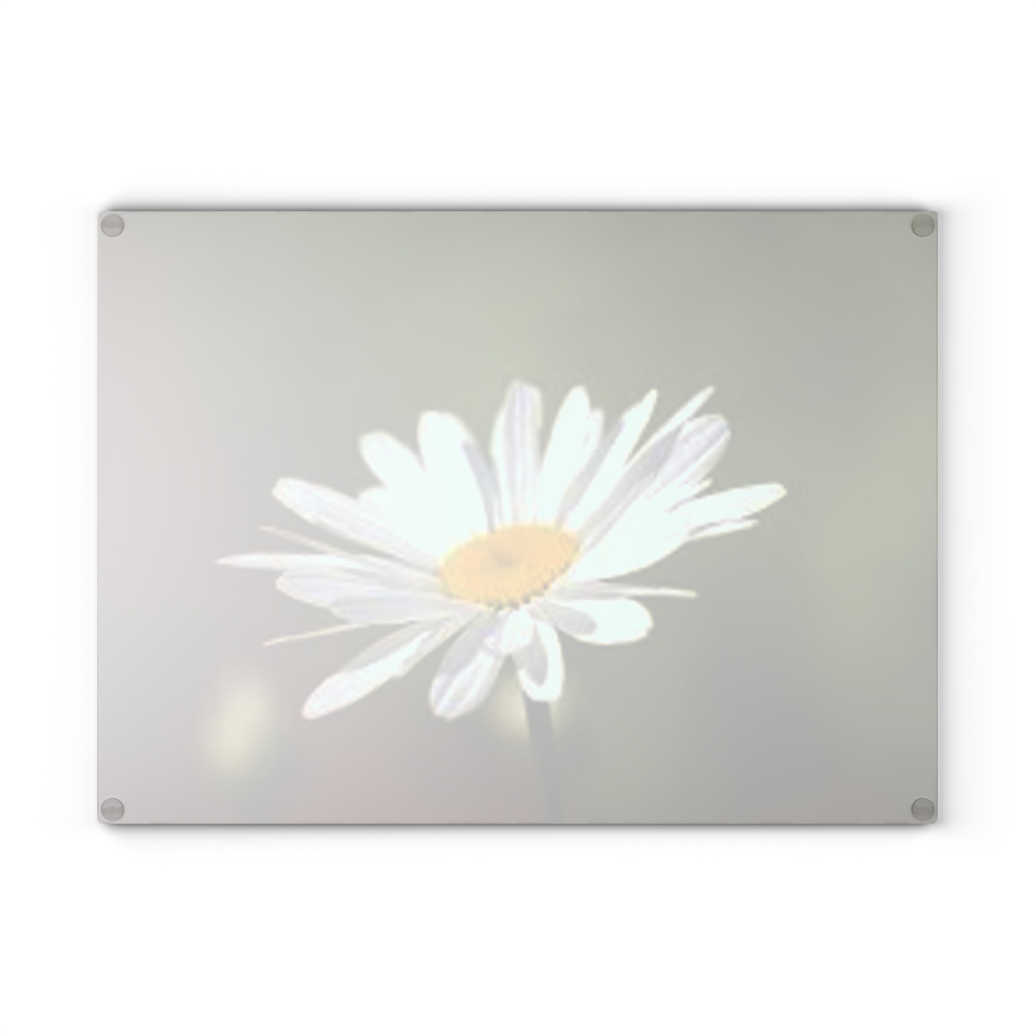 White Daisy Photograph Glass Cutting Board | Floral Kitchen Decor