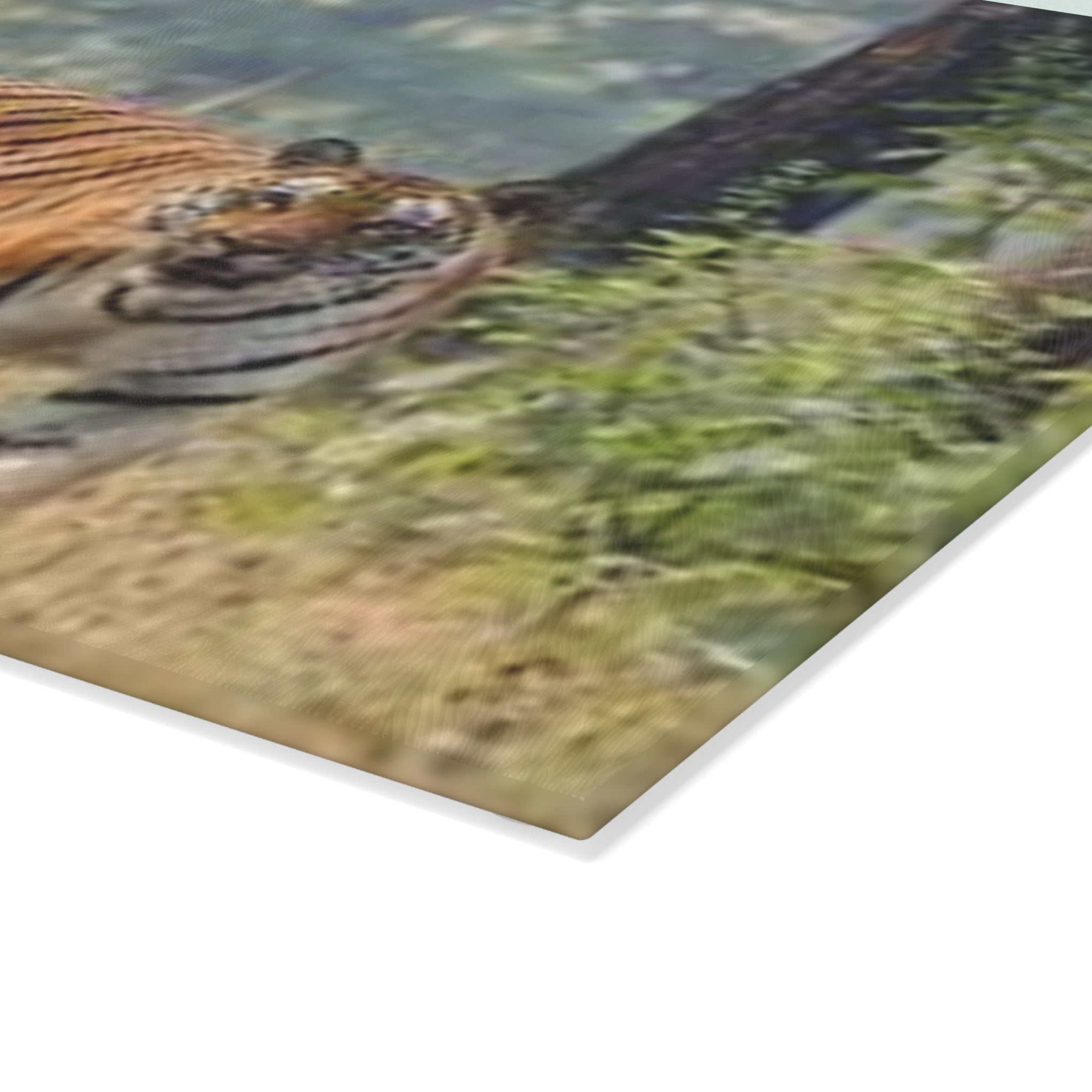 Bengal Tiger Photography Glass Cutting Board | Wildlife Kitchen Décor