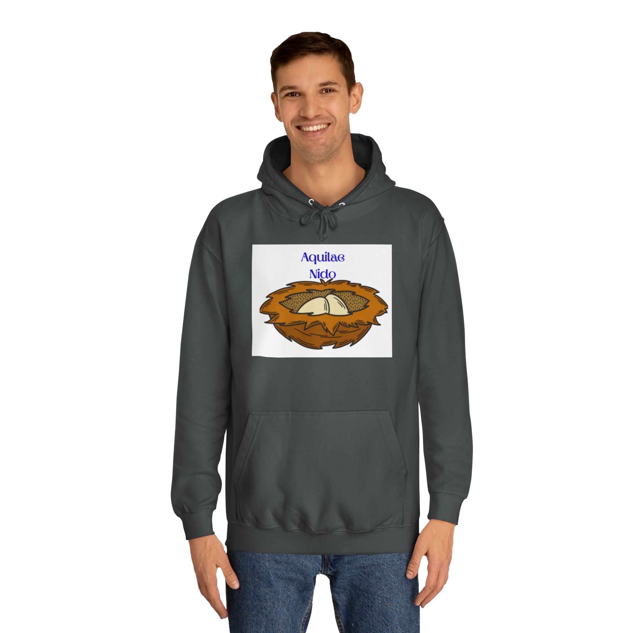 Aquilae Nido Nest Illustration Hoodie | College Crest Style