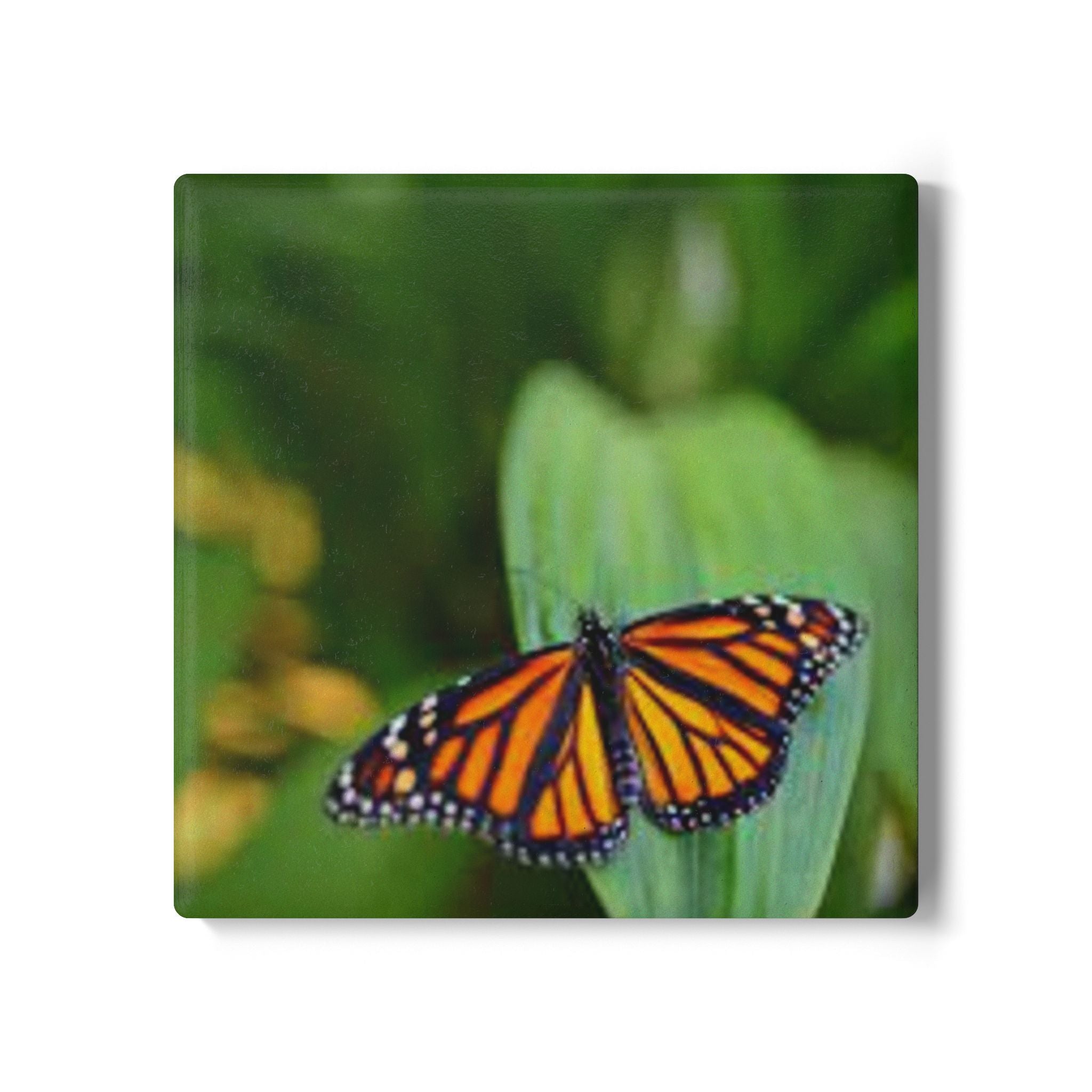 Monarch Butterfly Ceramic Coaster | Butterfly Nature Drink Mat