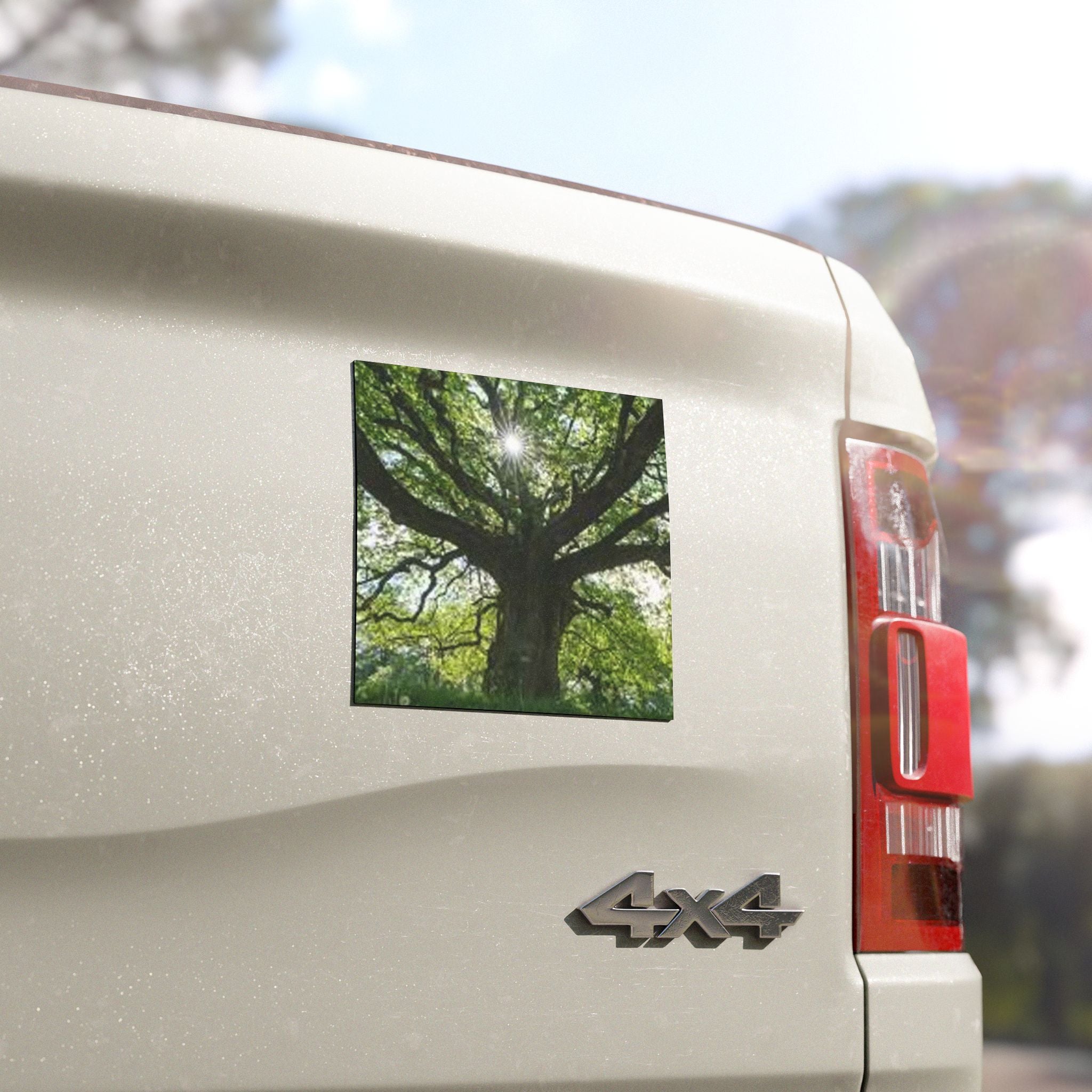 Sunlit Oak Tree Car Magnet | Large Nature Decal