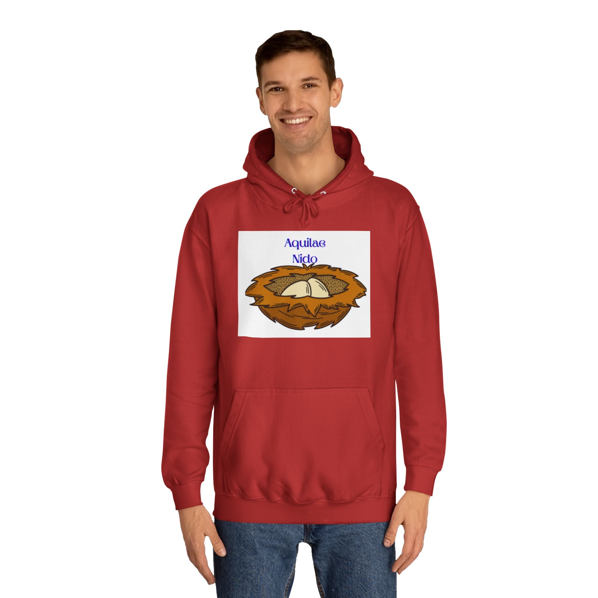 Aquilae Nido Nest Illustration Hoodie | College Crest Style