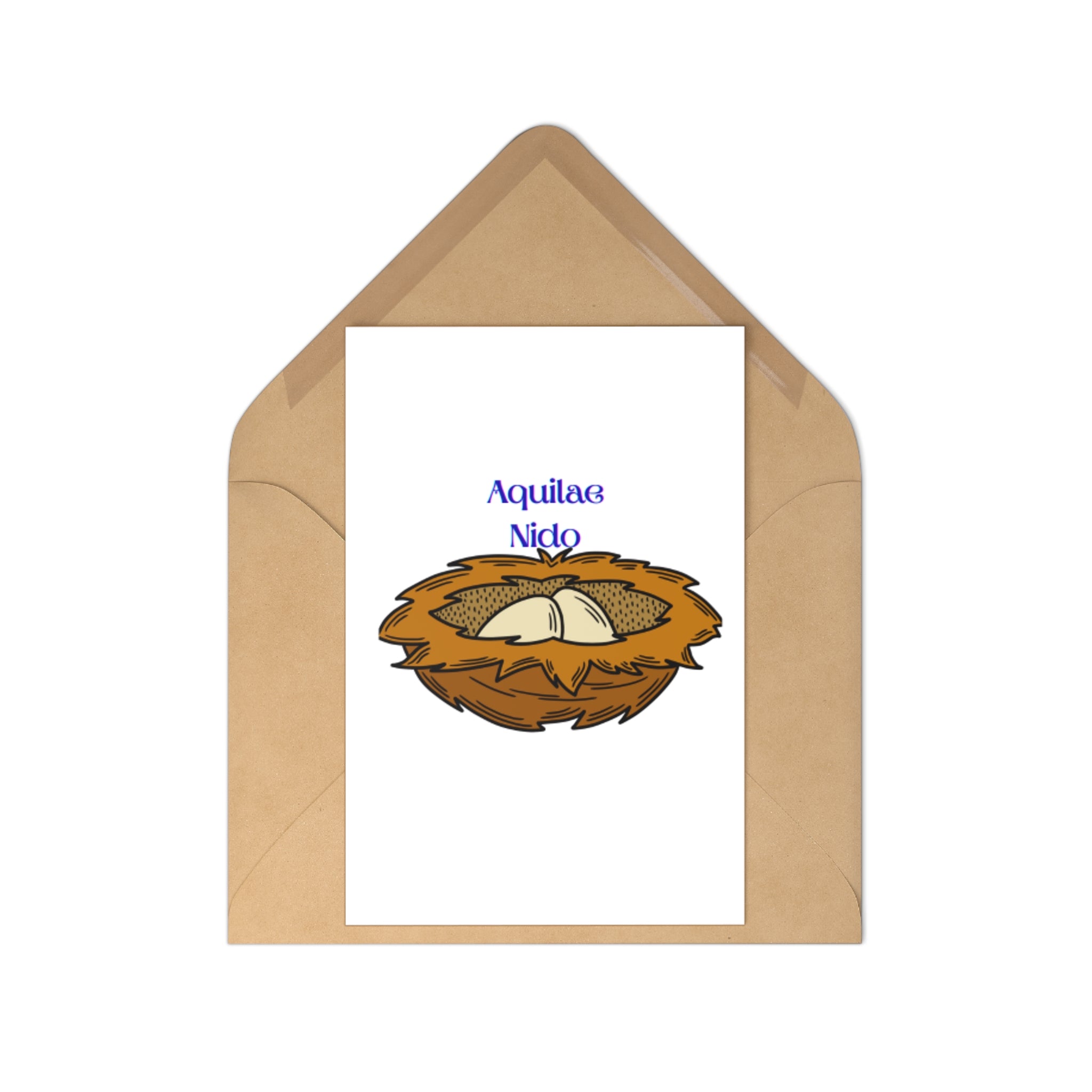 Aquilae Nido Nest Illustration Postcards | Set of 7
