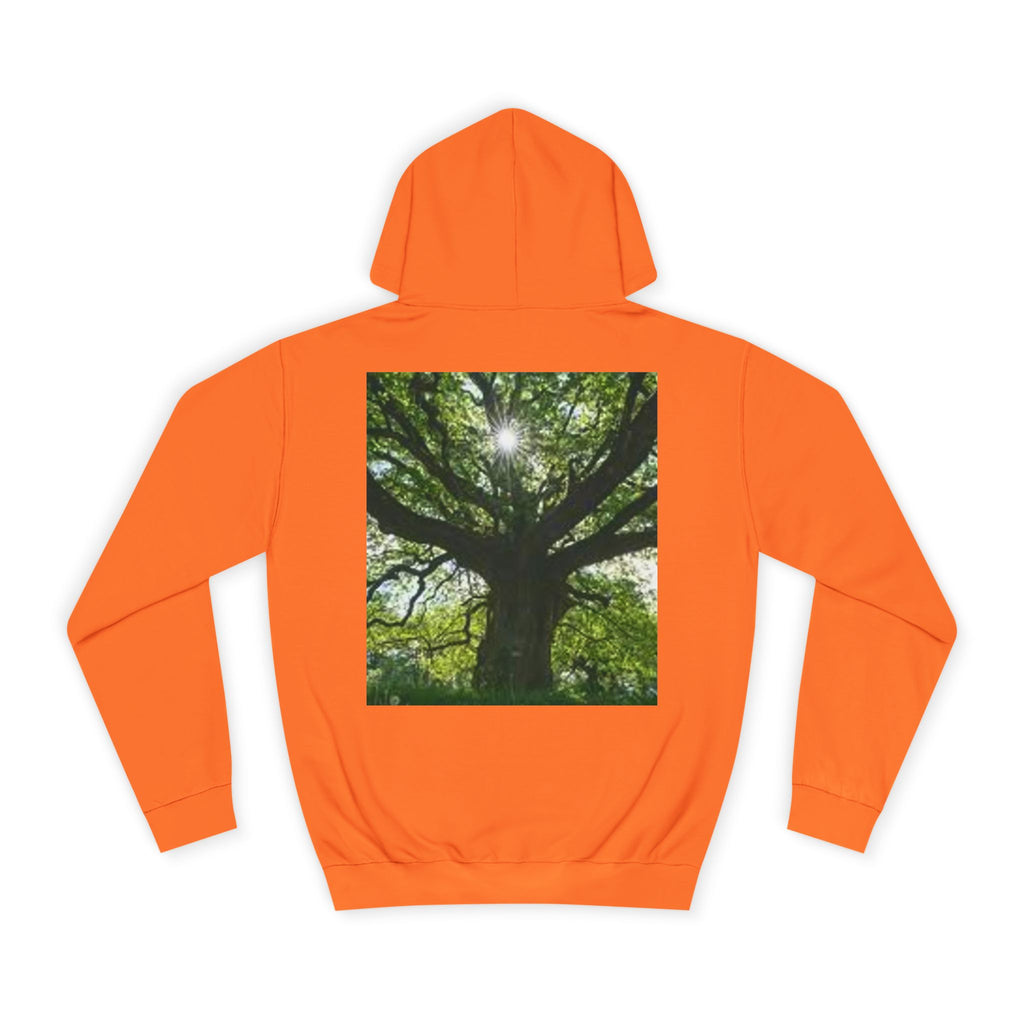 Sunlit Oak Tree Hoodie | Forest Nature Photography, Green Tree Sweatshirt