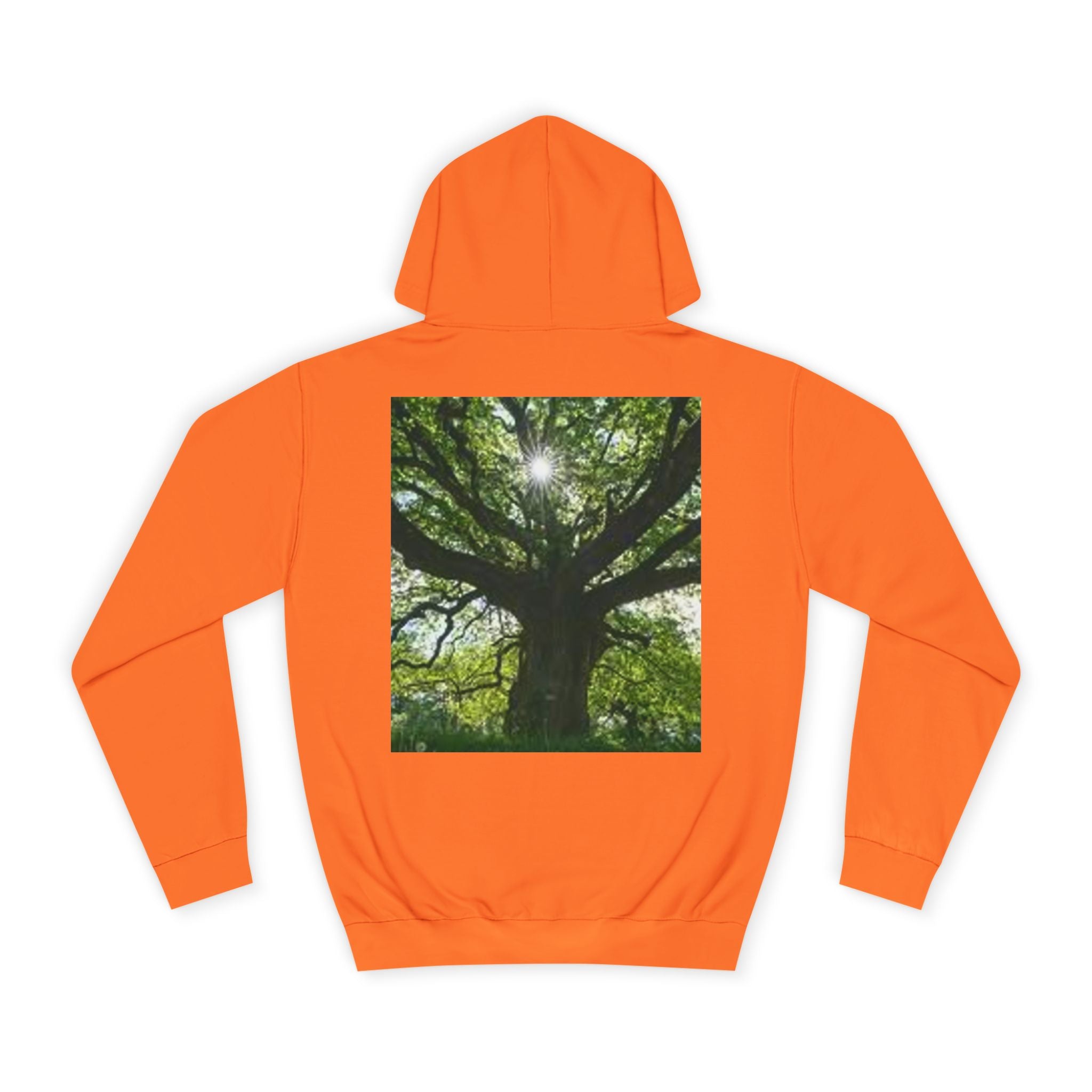 Sunlit Oak Tree Hoodie | Forest Nature Photography, Green Tree Sweatshirt