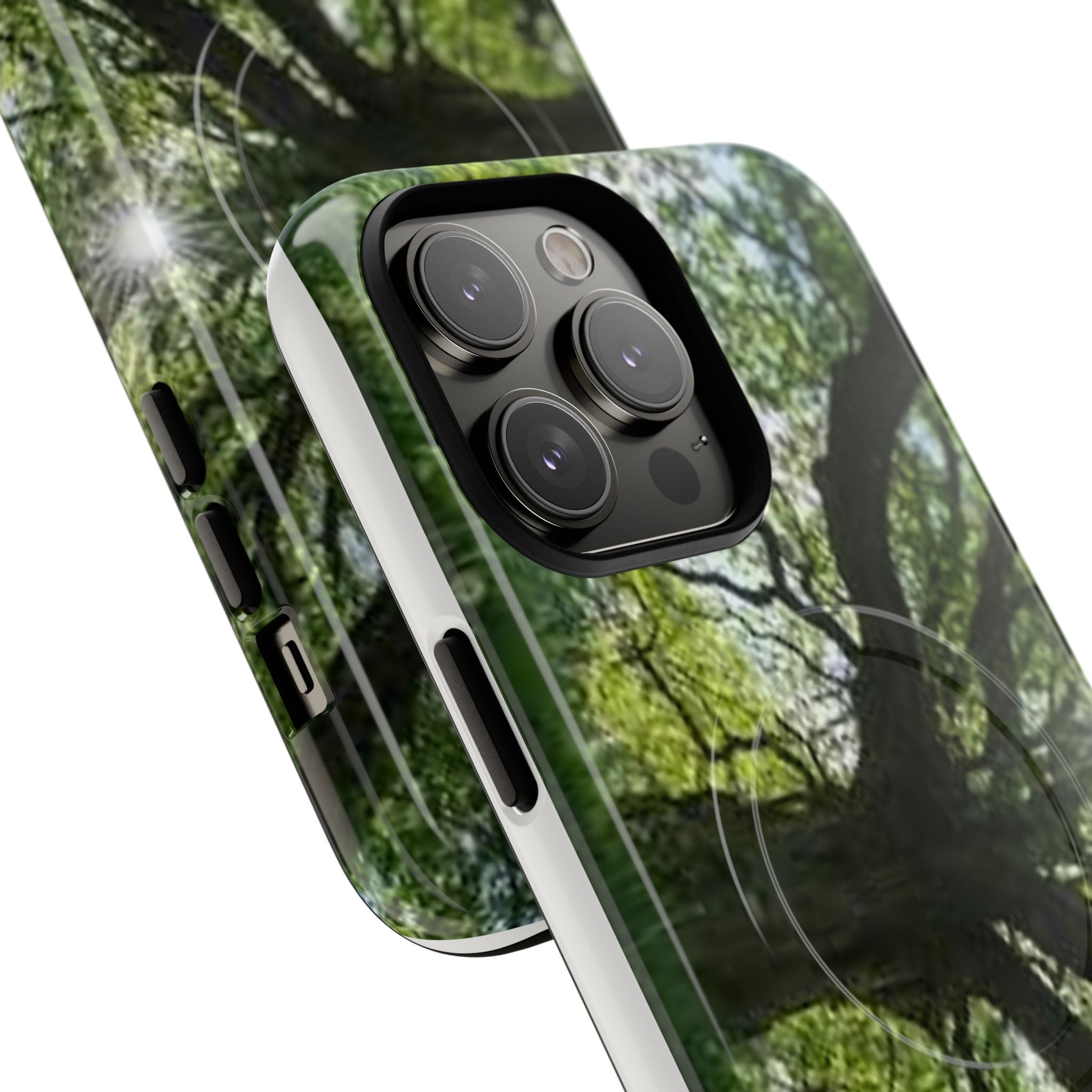 Sunlit Oak Tree Phone Case | Tough Magnetic Case