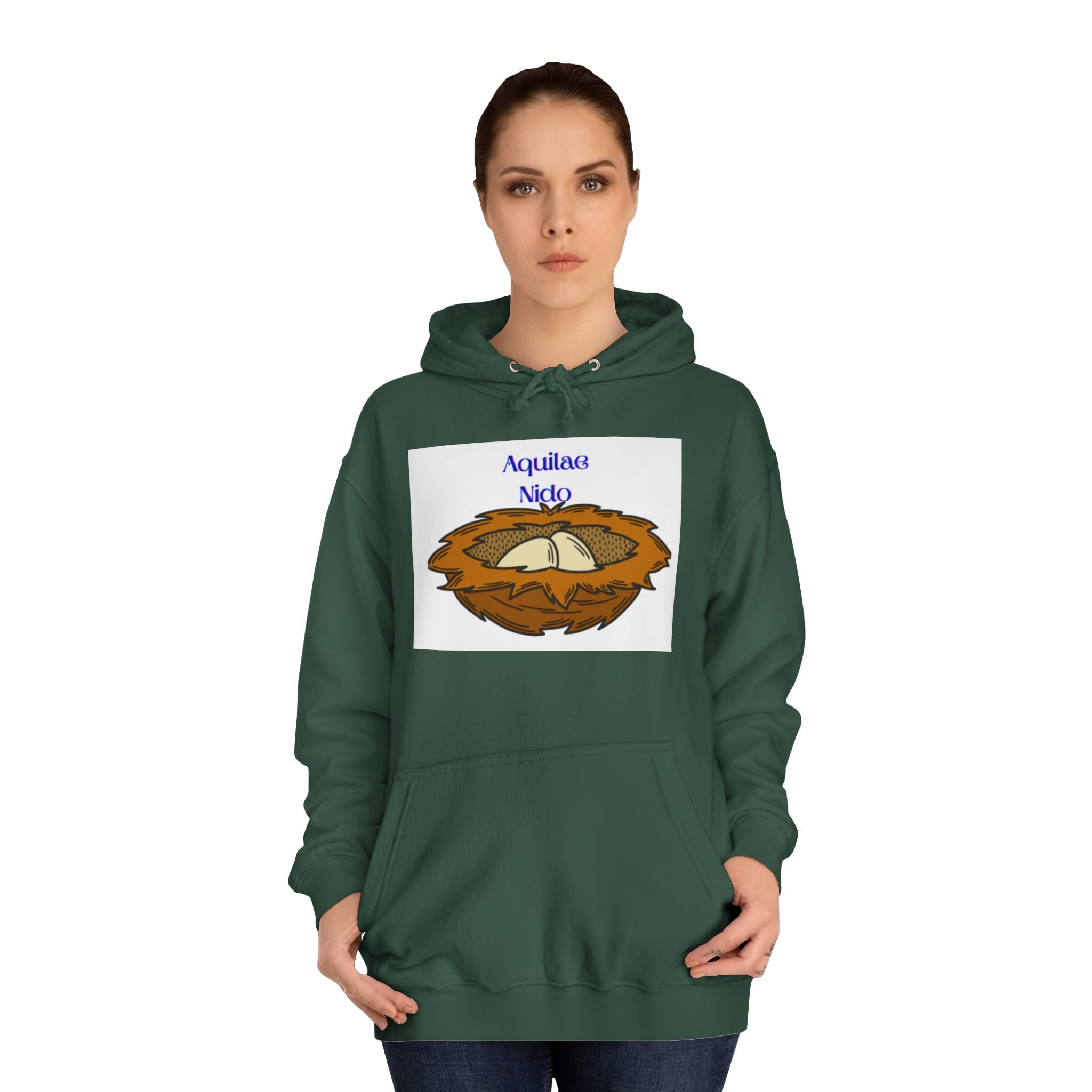 Aquilae Nido Nest Illustration Hoodie | College Crest Style