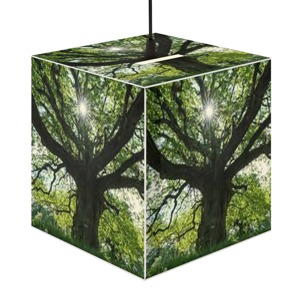 Sunlit Oak Tree Light Cube Lamp | Nature Photography Pendant