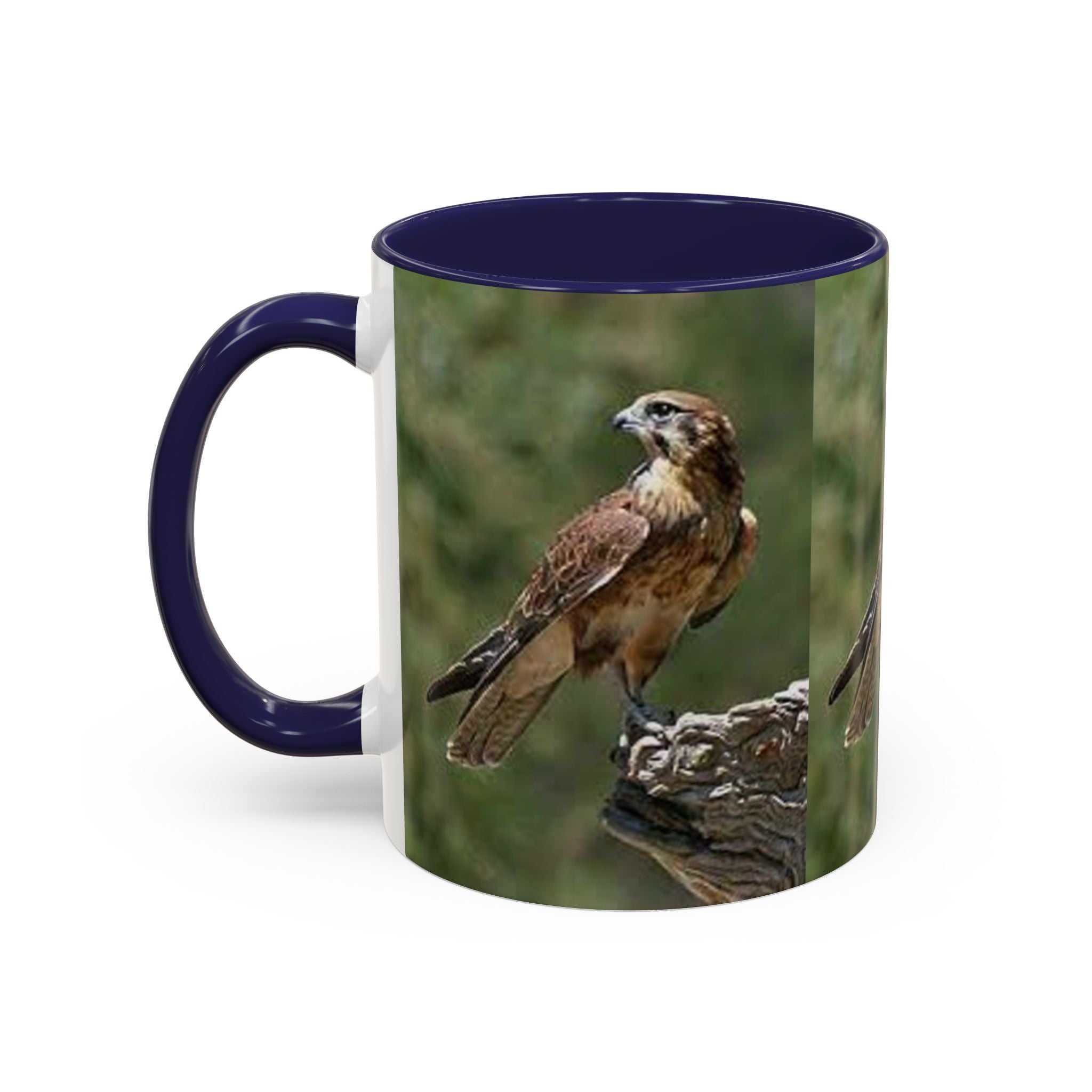 Kestrel Falcon Photo Mug | Accent Coffee Mug 11oz 15oz