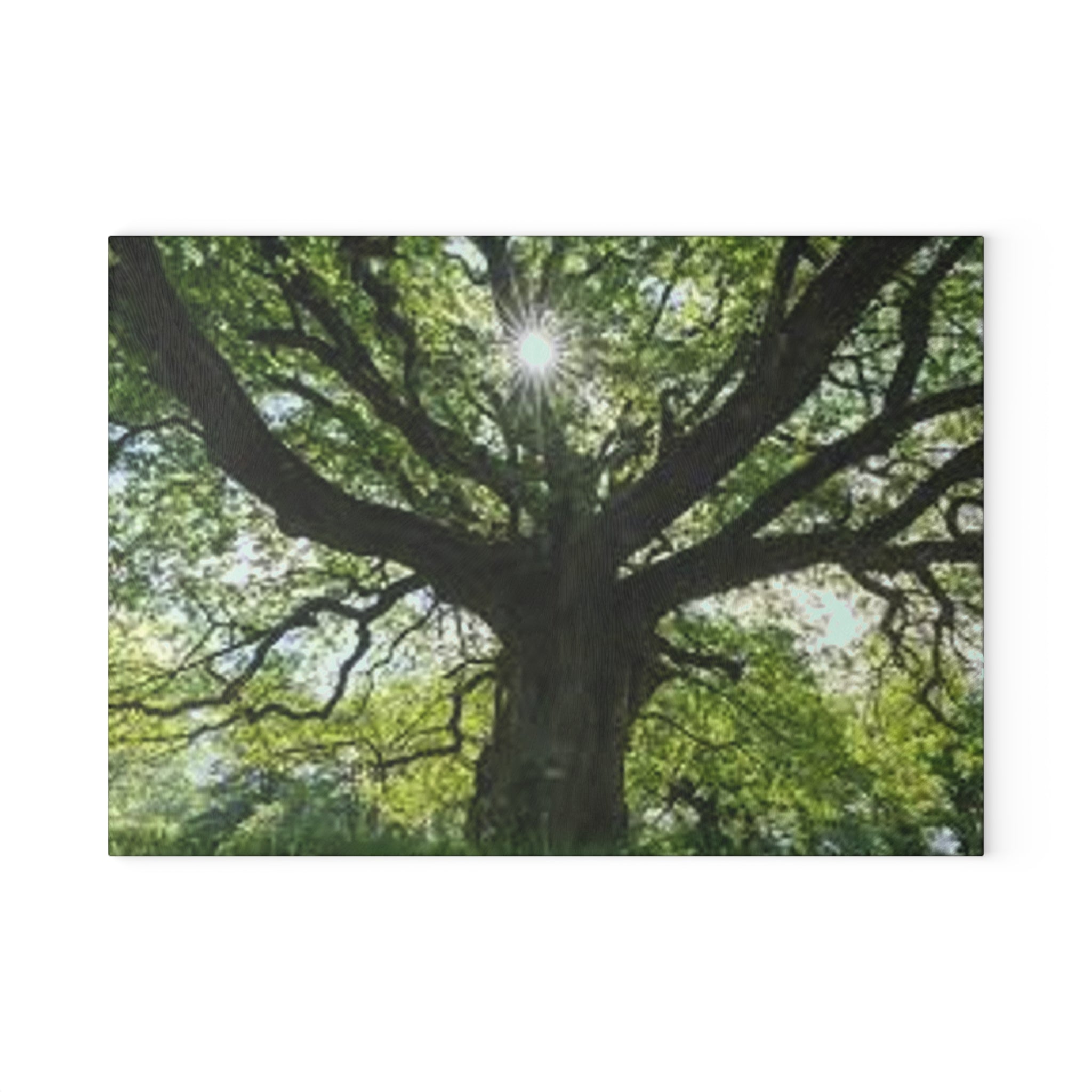 Sunlit Oak Tree Glass Cutting Board | Forest Nature Kitchen Decor