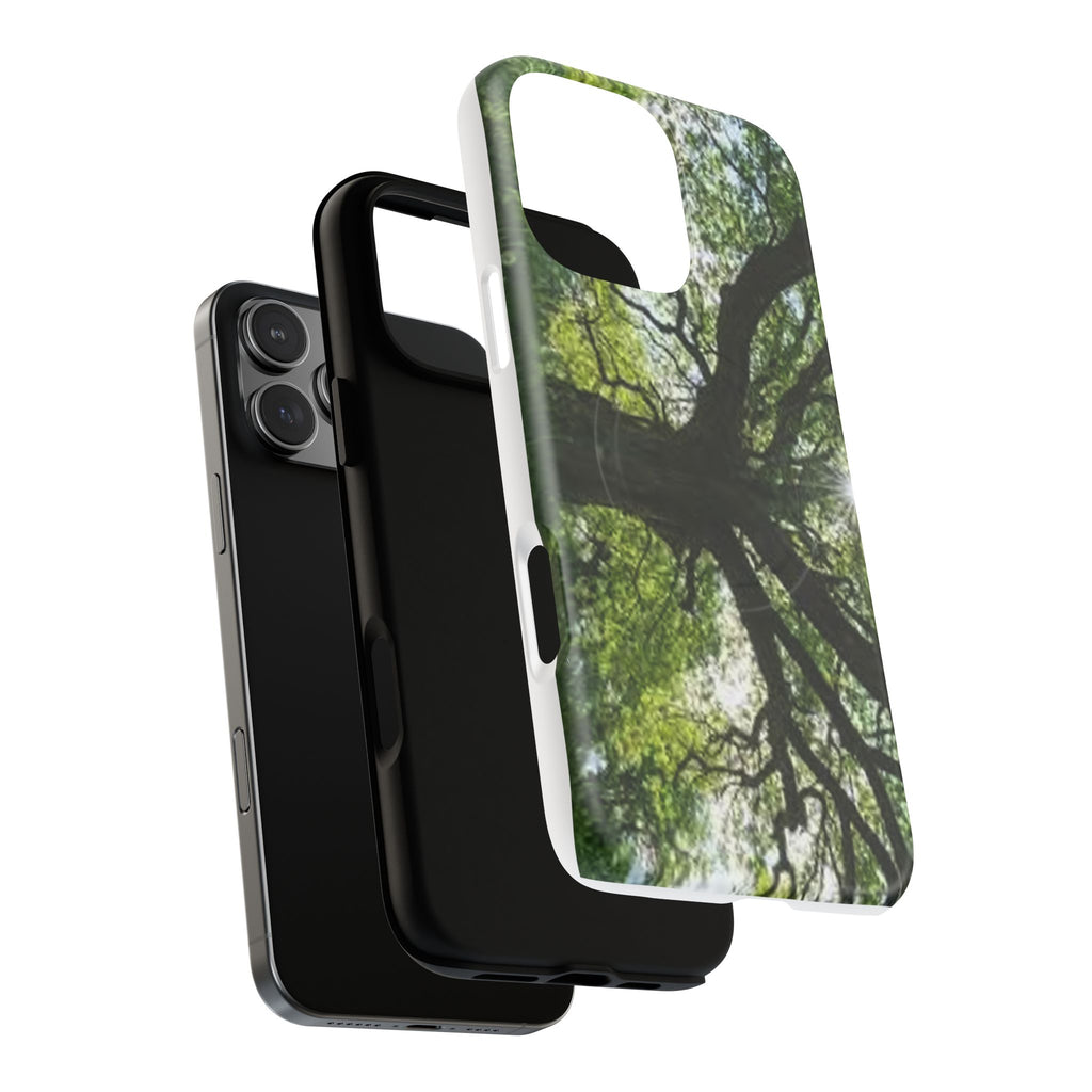 Sunlit Oak Tree Phone Case | Tough Magnetic Case