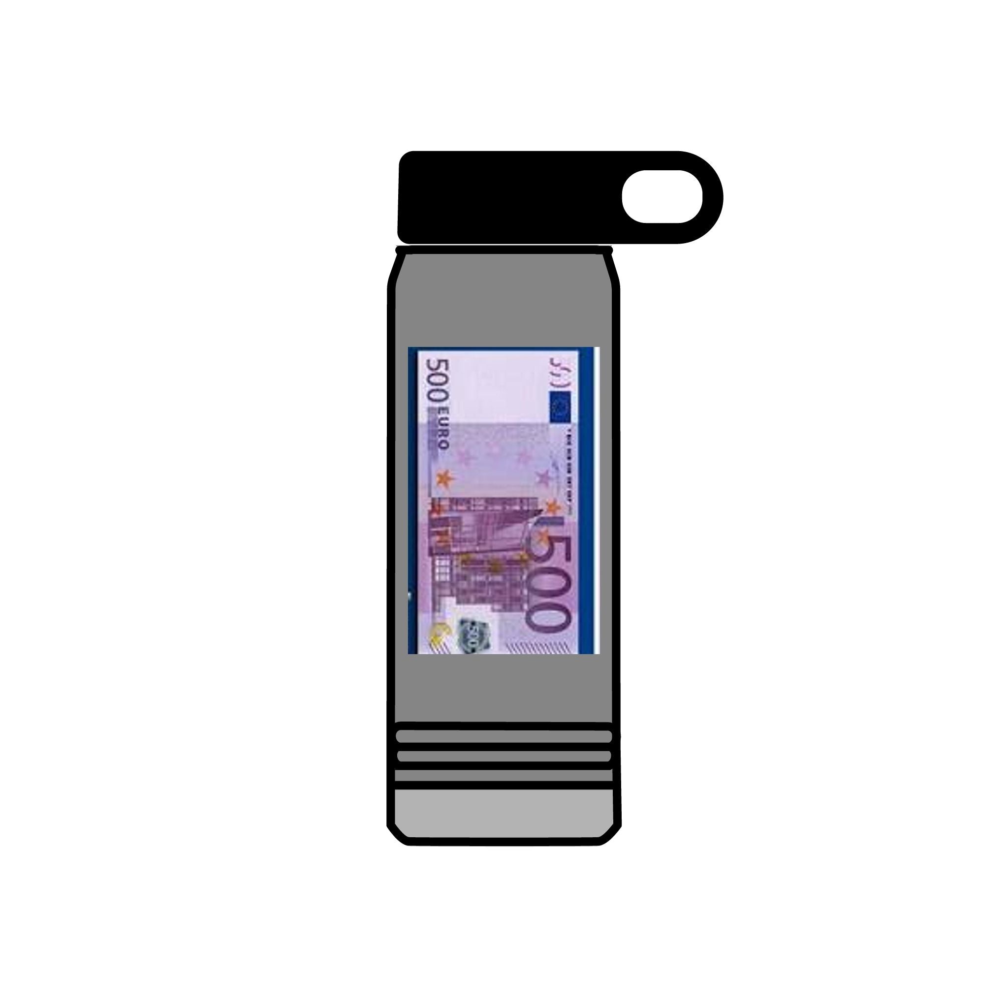 500 Euro Banknote Water Bottle | Money Novelty Thermos, 20oz