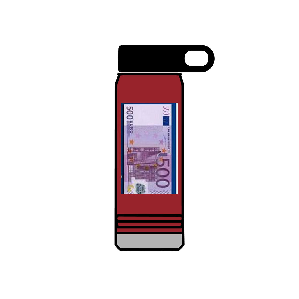 500 Euro Banknote Water Bottle | Money Novelty Thermos, 20oz