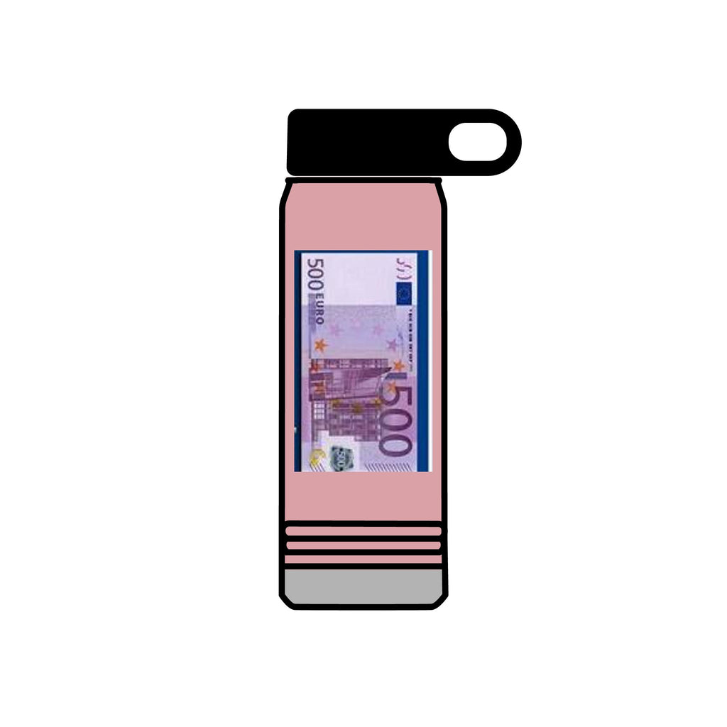 500 Euro Banknote Water Bottle | Money Novelty Thermos, 20oz